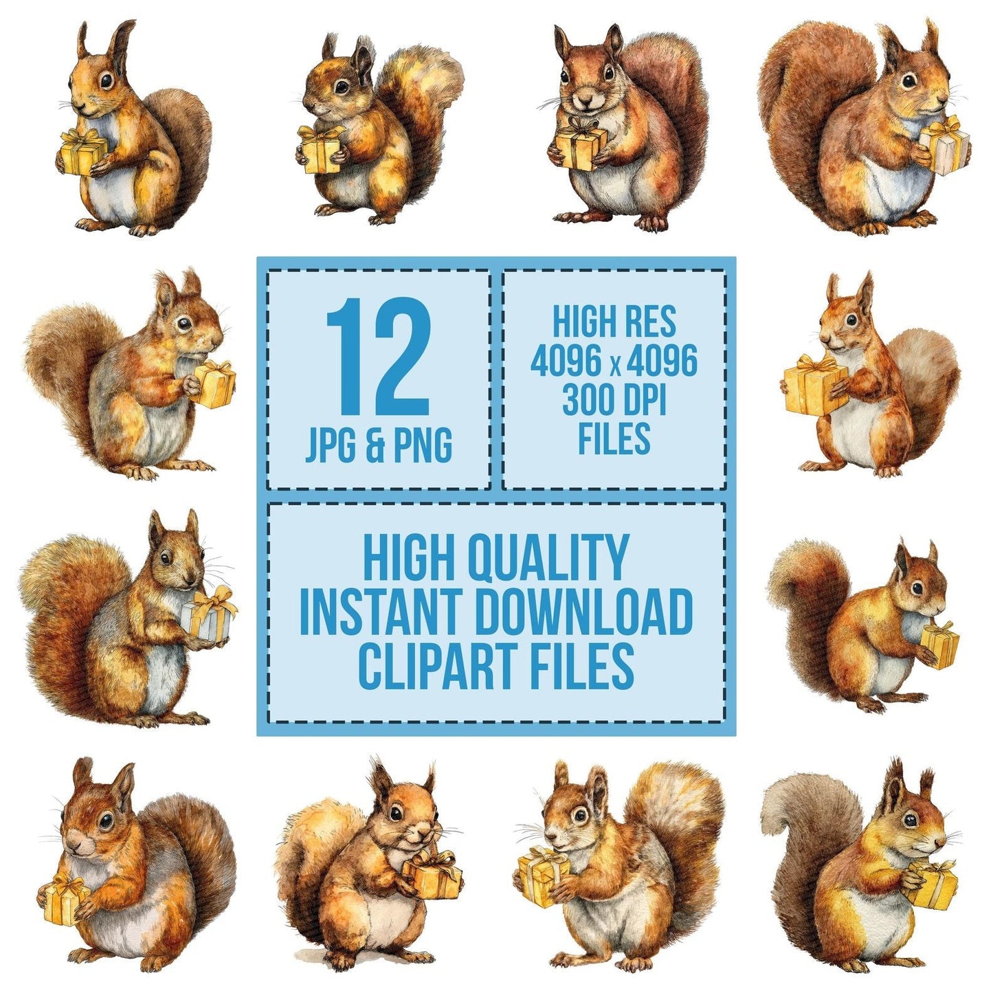 Watercolour Christmas Squirrel Gift Clipart Set (DDD007064)
