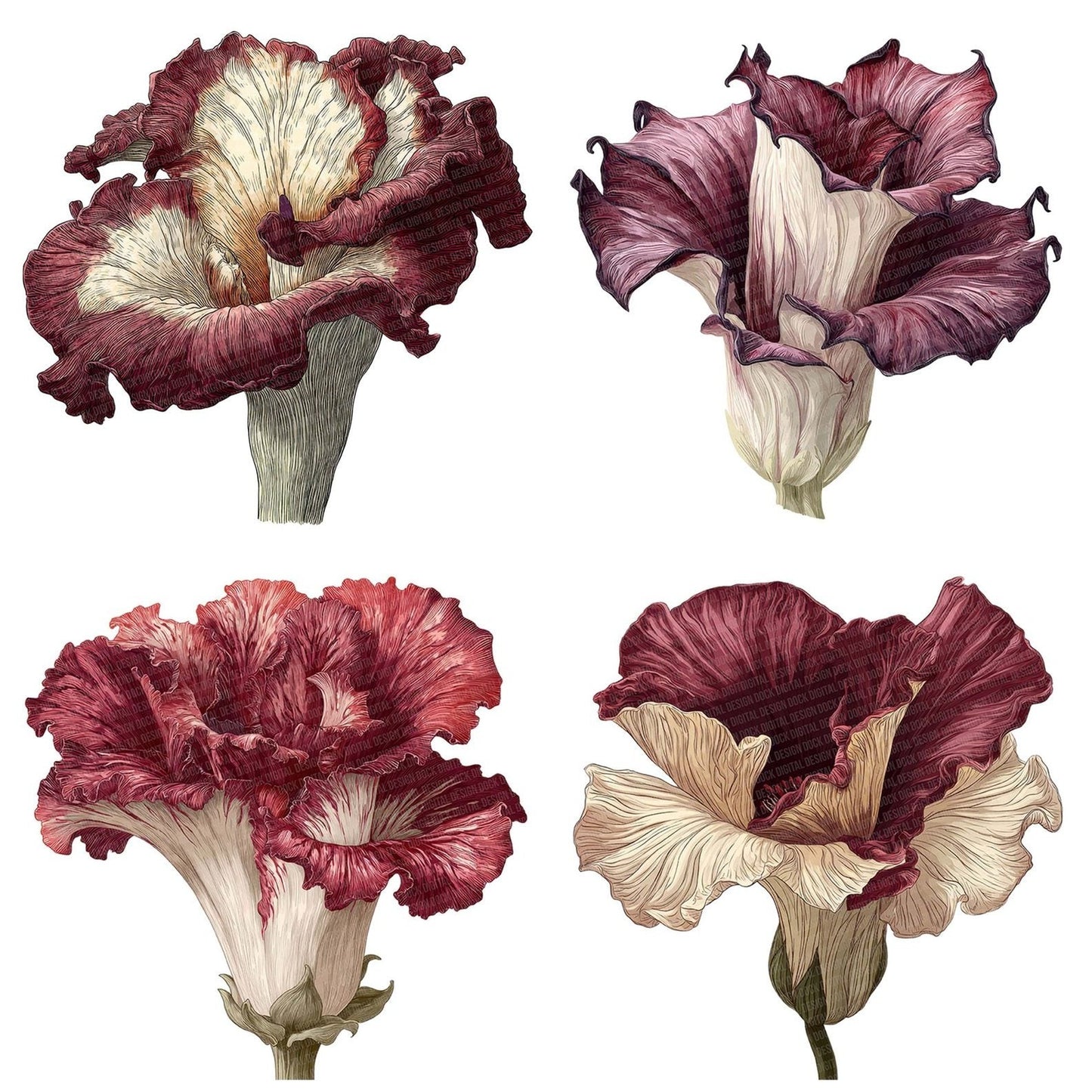 Watercolour Corpse Flower Clipart Set (DDD007069)