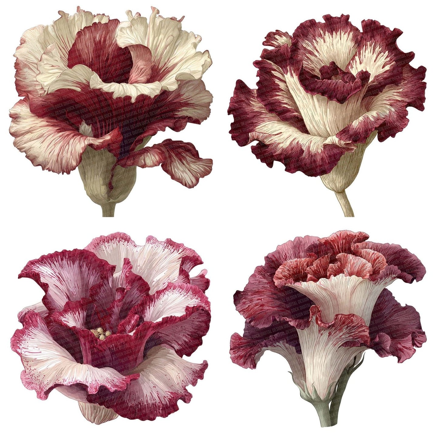 Watercolour Corpse Flower Clipart Set (DDD007069)