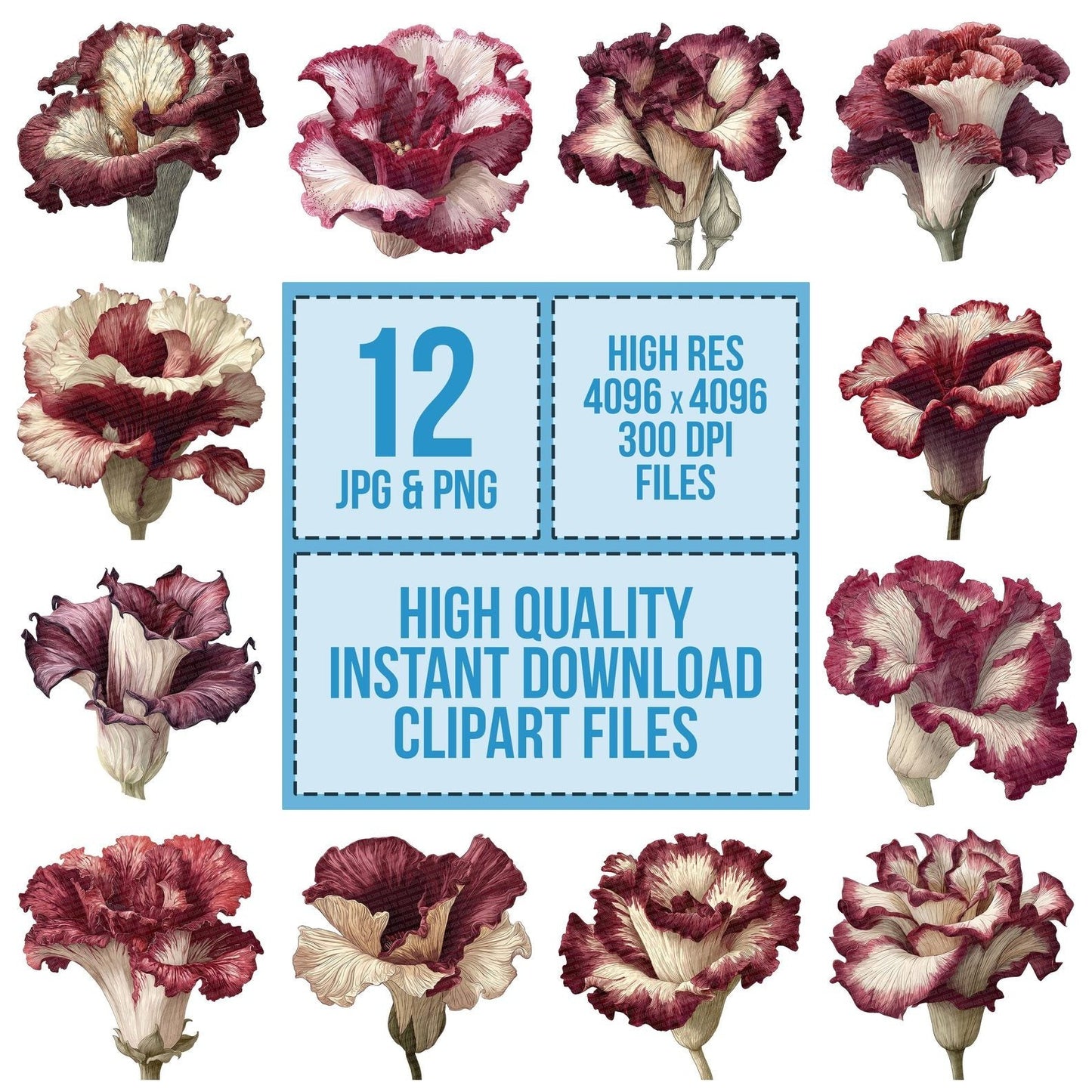 Watercolour Corpse Flower Clipart Set (DDD007069)
