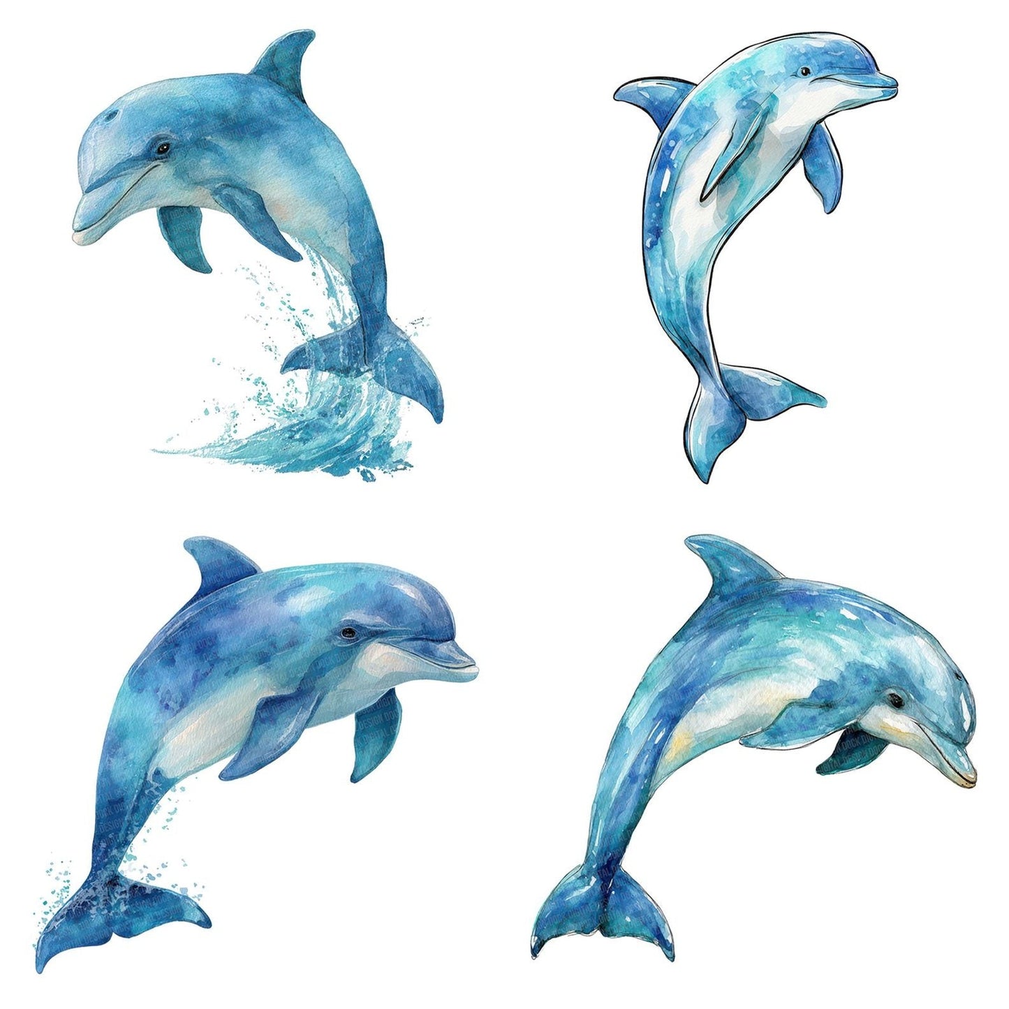 Watercolour Dolphin Clipart Set (DDD007093)