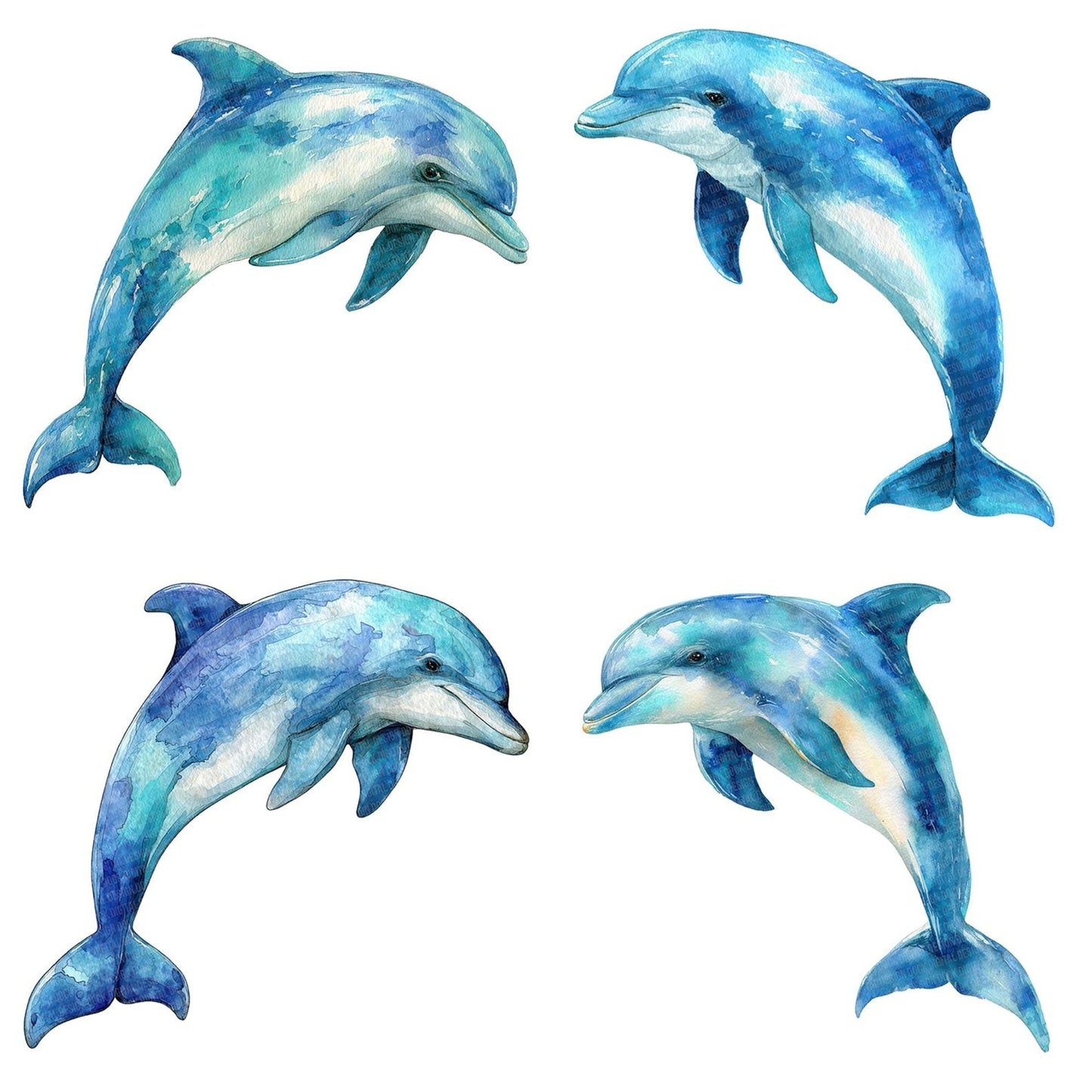 Watercolour Dolphin Clipart Set (DDD007093)