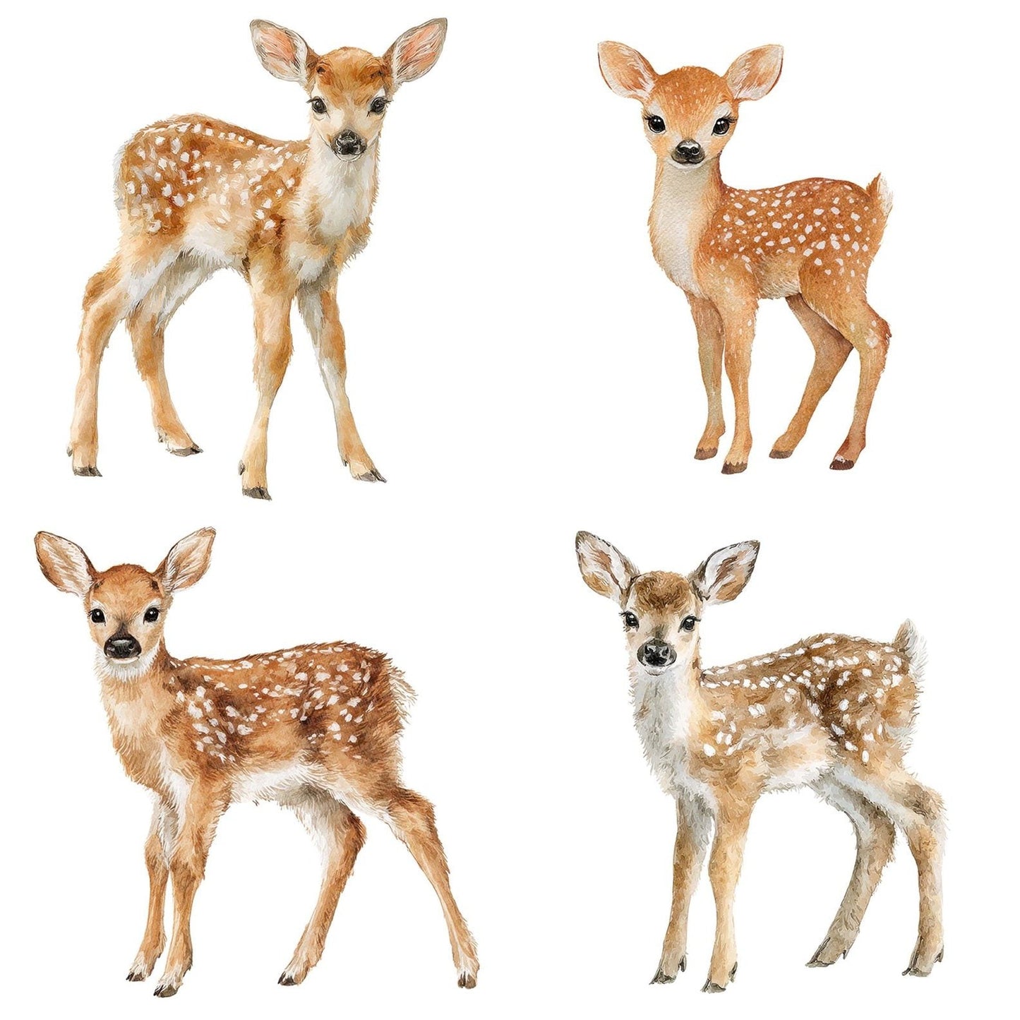 Watercolour Fawn Clipart Set (DDD007111)