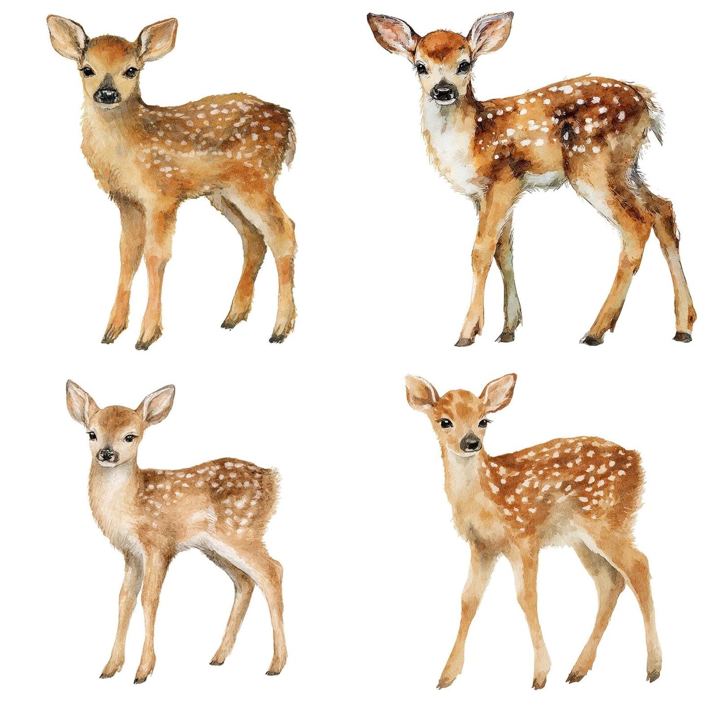 Watercolour Fawn Clipart Set (DDD007111)