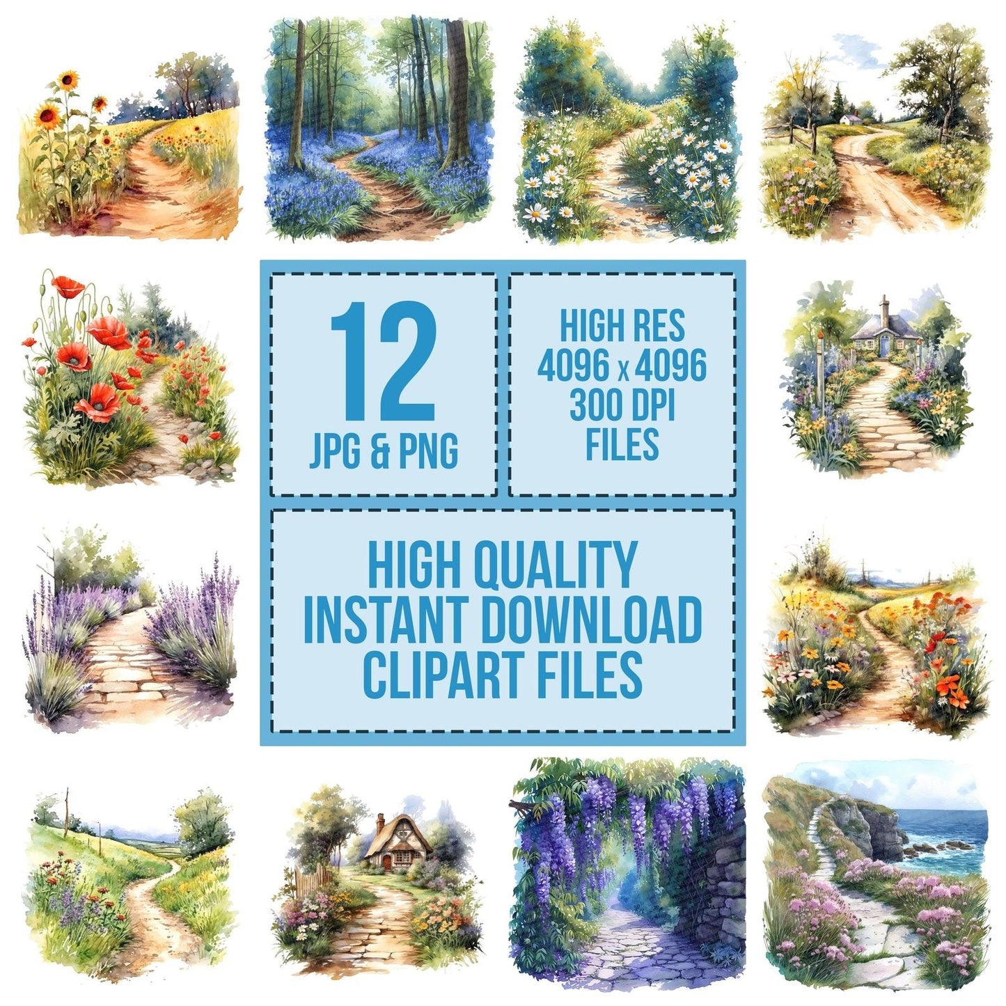 Watercolour Flower Lined Path Clipart Set (DDD007123)