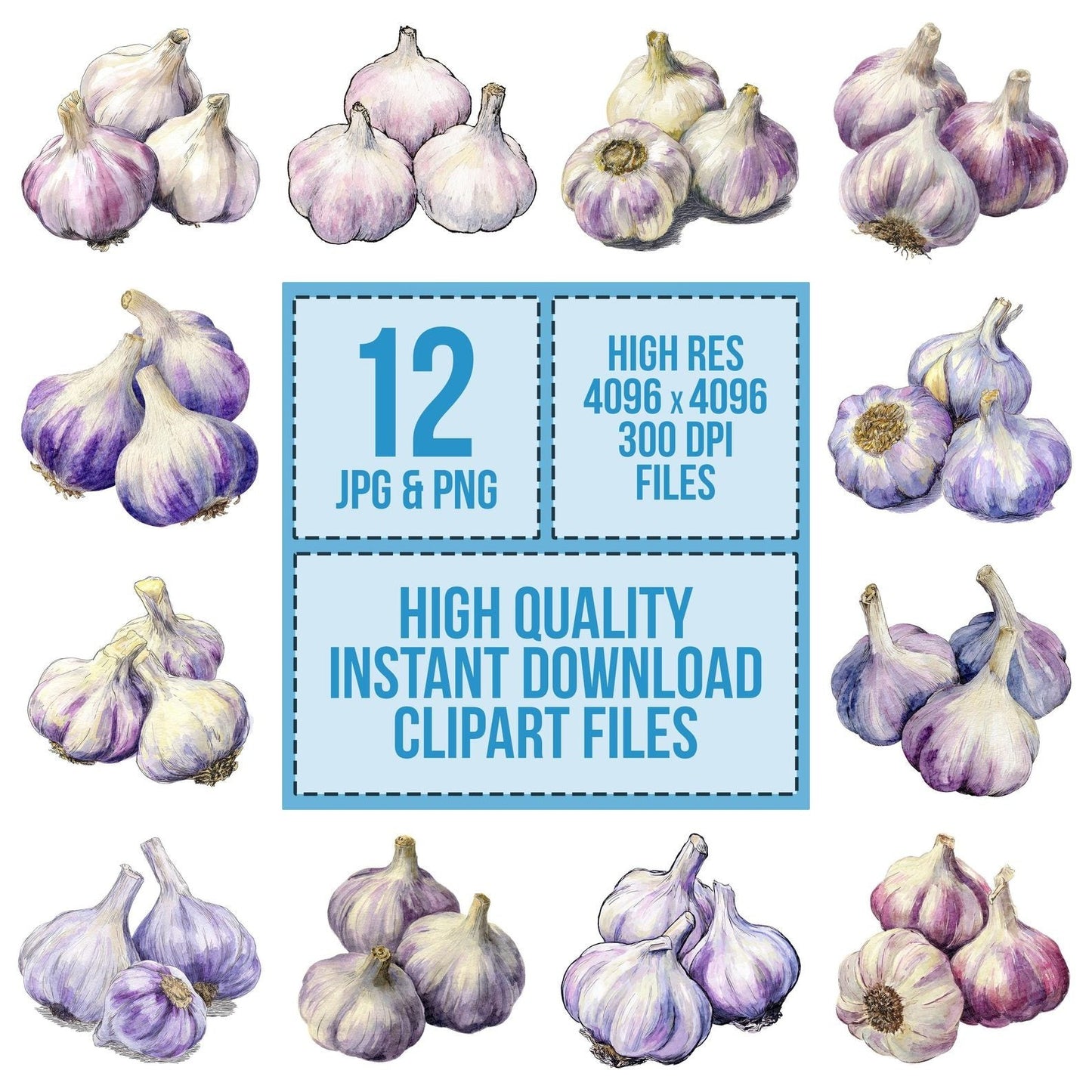 Watercolour Garlic Cloves Clipart Set (DDD007136)