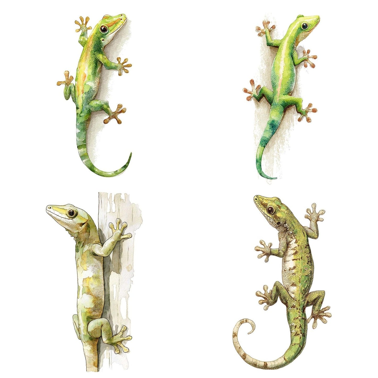 Watercolour Gecko Clipart Set (DDD007137)