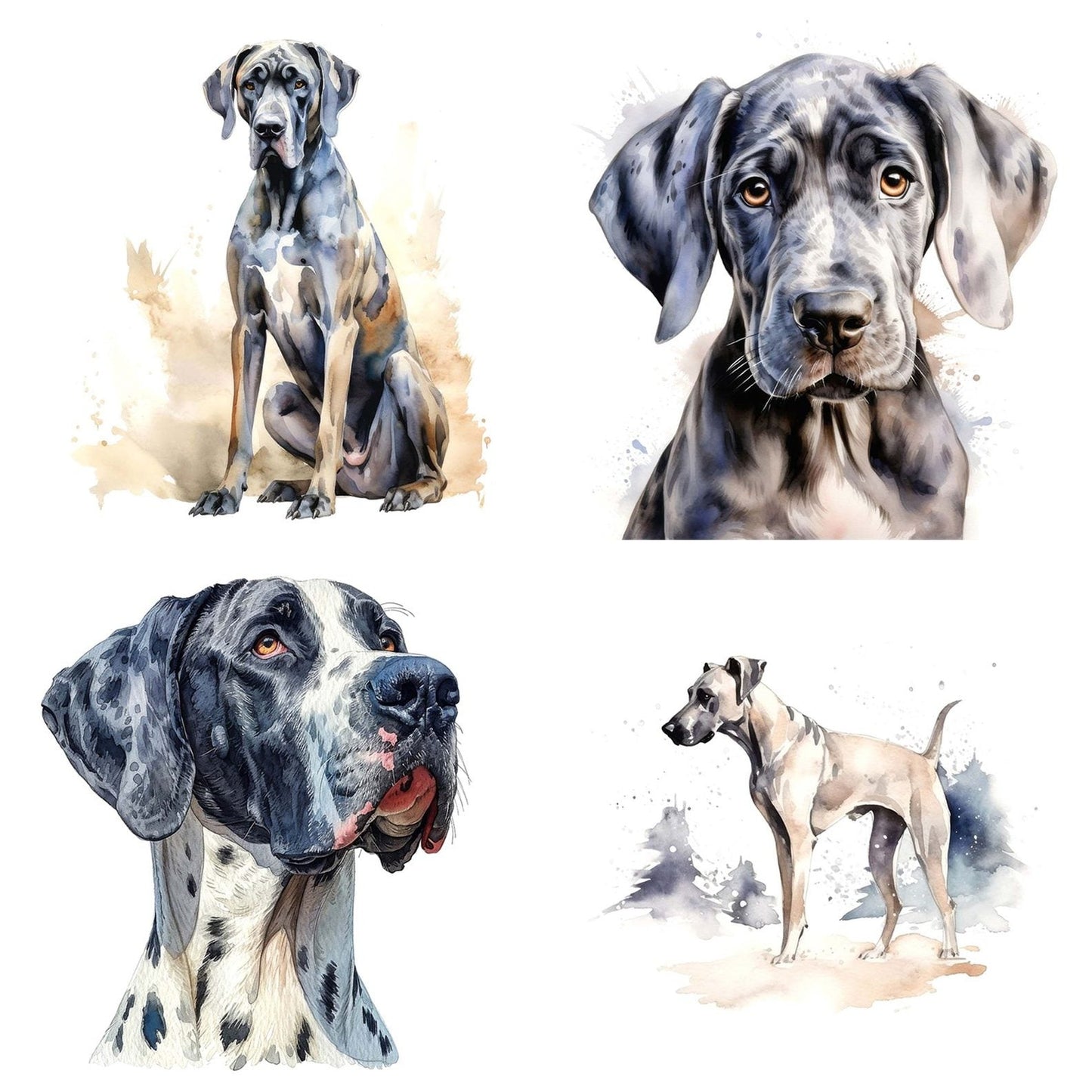 Watercolour Great Dane Clipart Set (DDD007150)