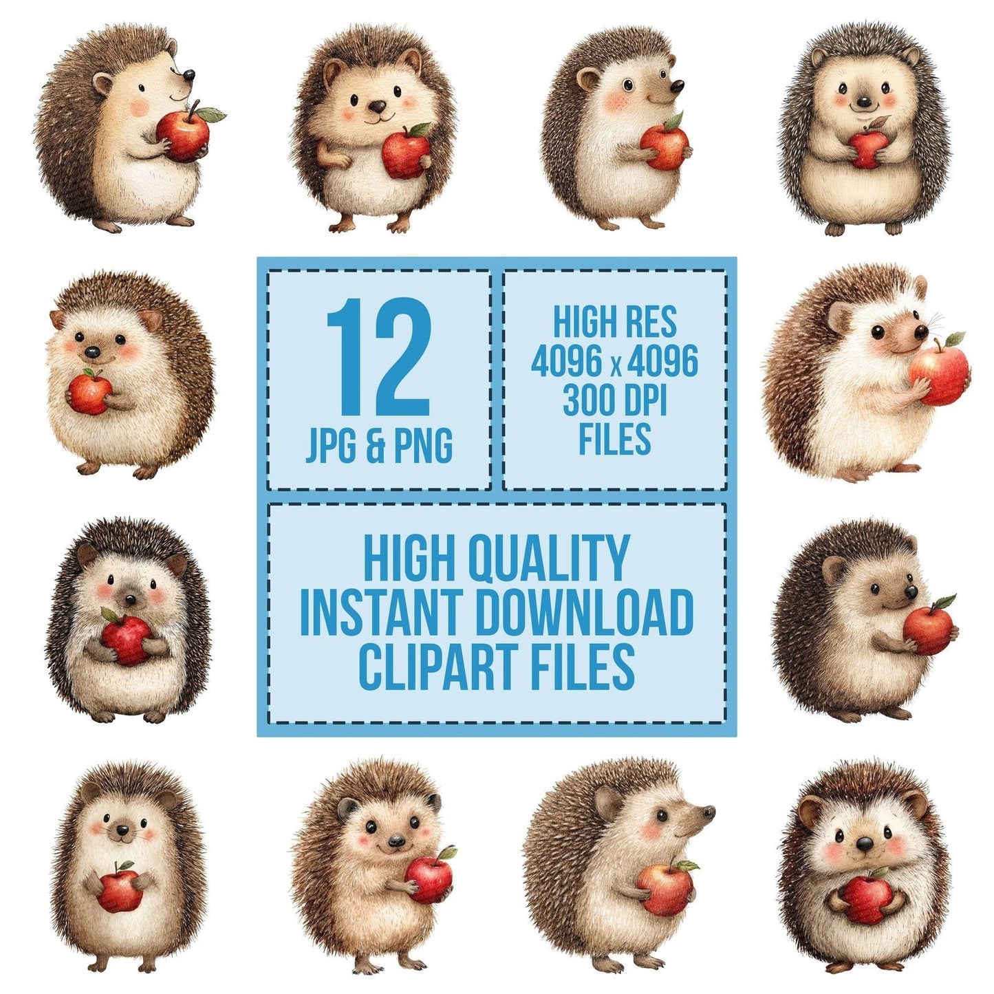 Watercolour Hedgehog Apple Clipart Set (DDD007168)