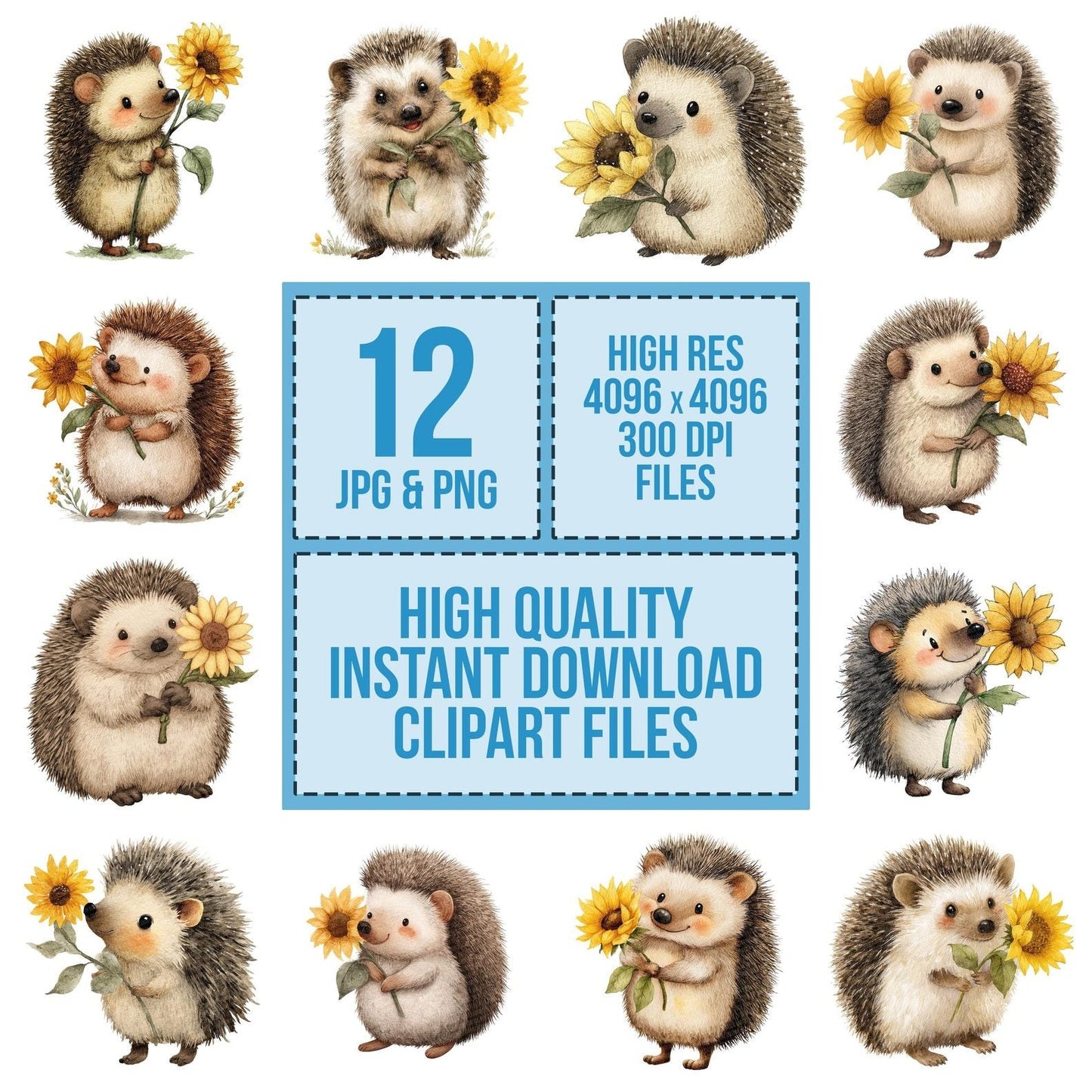 Watercolour Hedgehog Sunflower Clipart Set (DDD007170)