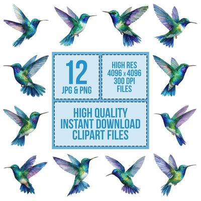 Watercolour Hummingbird Flight Clipart Set (DDD007177)