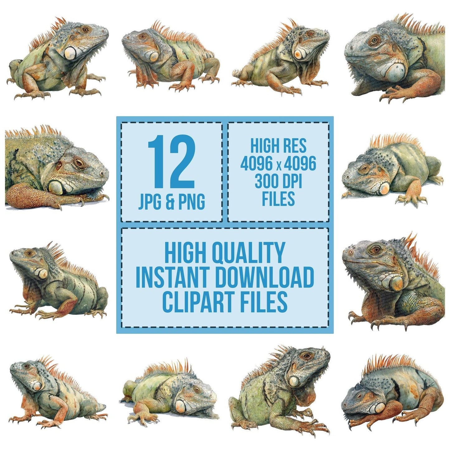 Watercolour Iguana Clipart Set (DDD007178)