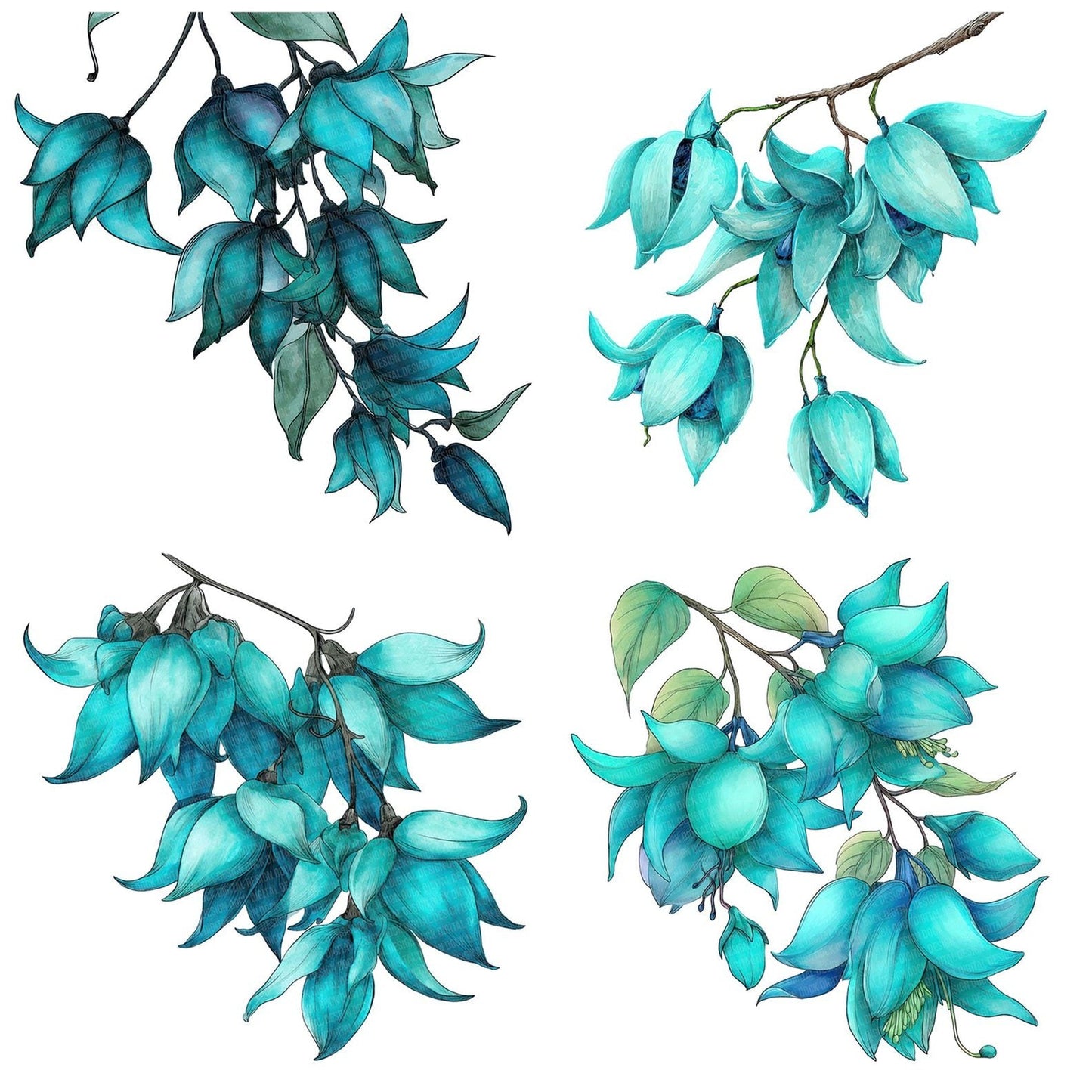 Watercolour Jade Vine Clipart Set (DDD007181)