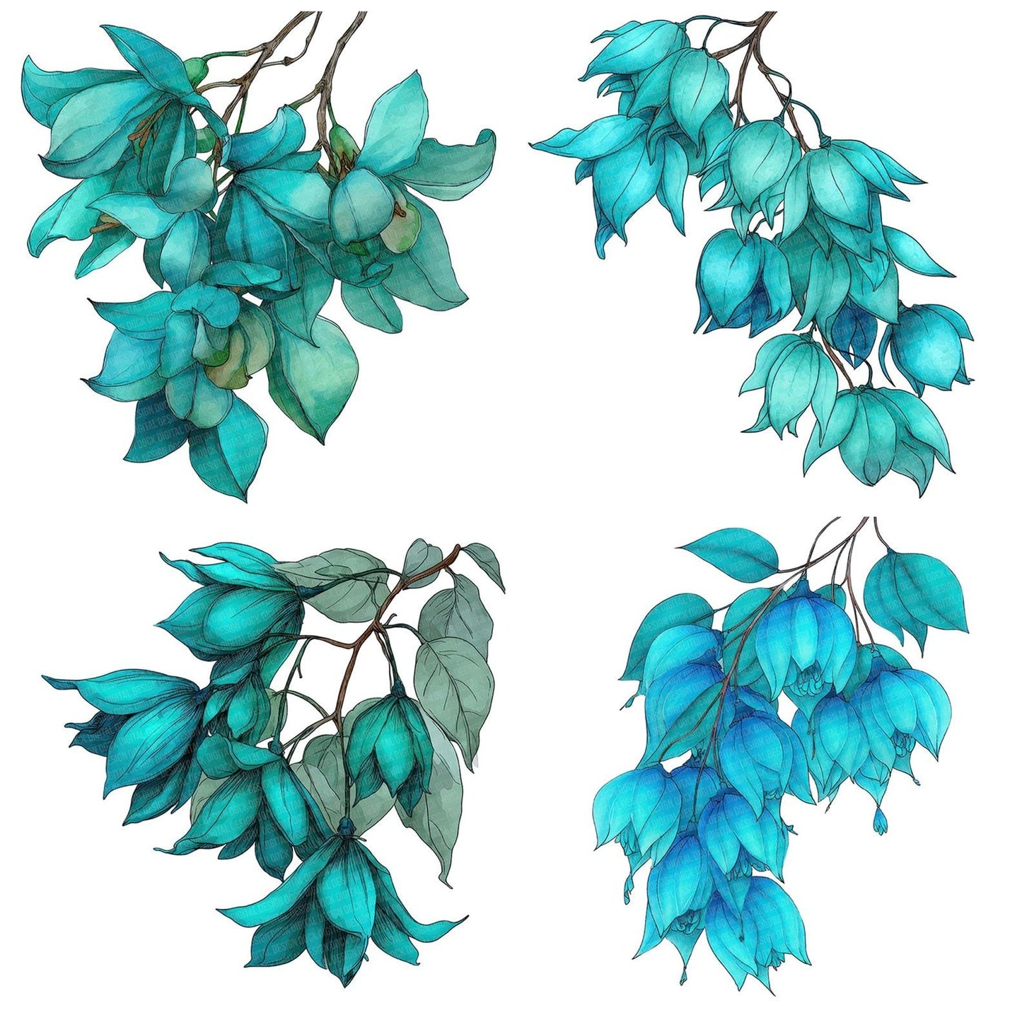 Watercolour Jade Vine Clipart Set (DDD007181)