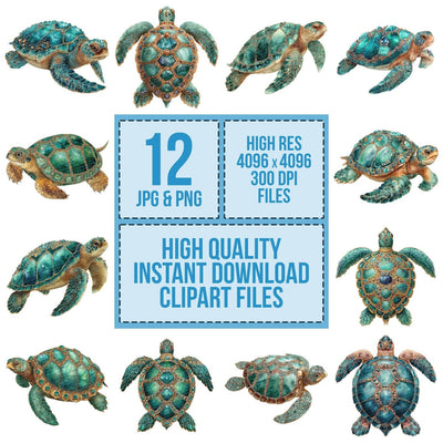 Watercolour Jewelled Turtle Clipart Set (DDD007187)