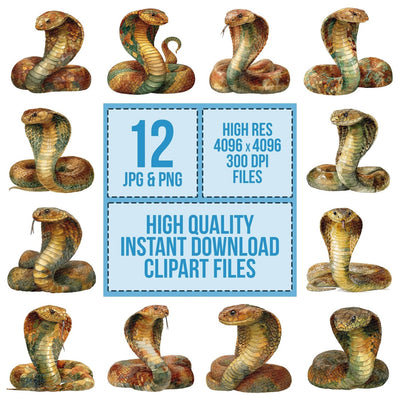 Watercolour King Cobra Clipart Set (DDD007189)