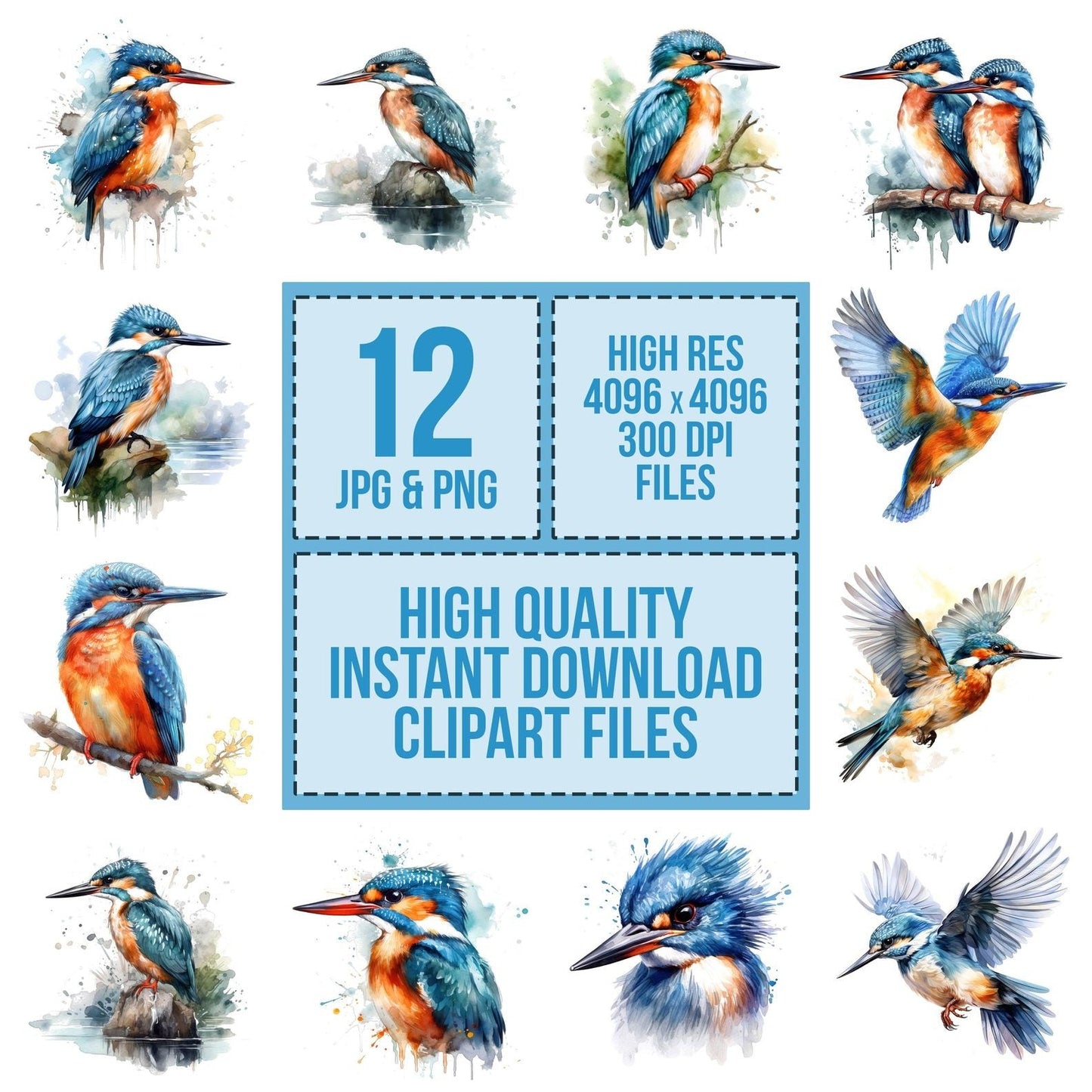 Watercolour Kingfisher Clipart Set (DDD007190)