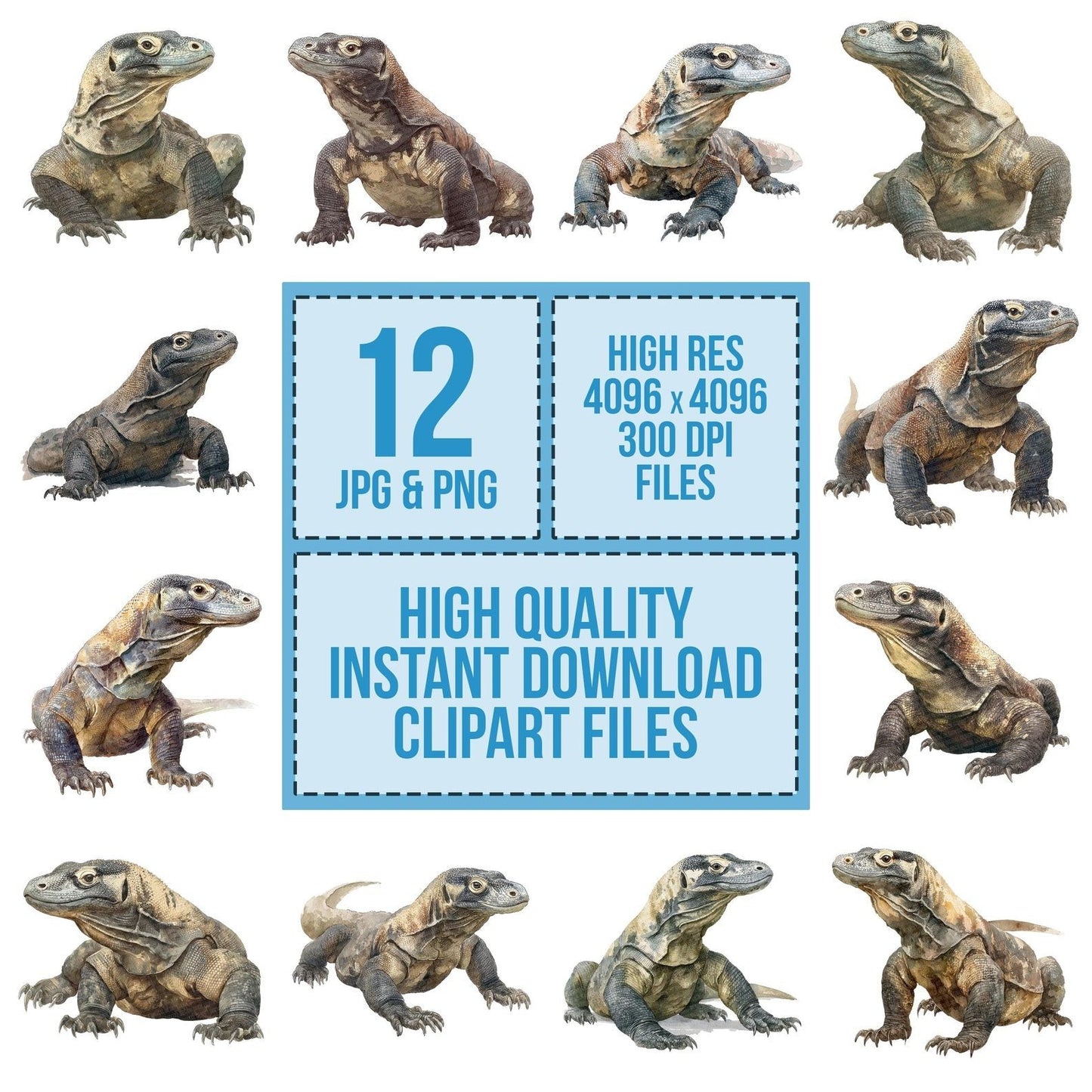 Watercolour Komodo Dragon Clipart Set (DDD007195)