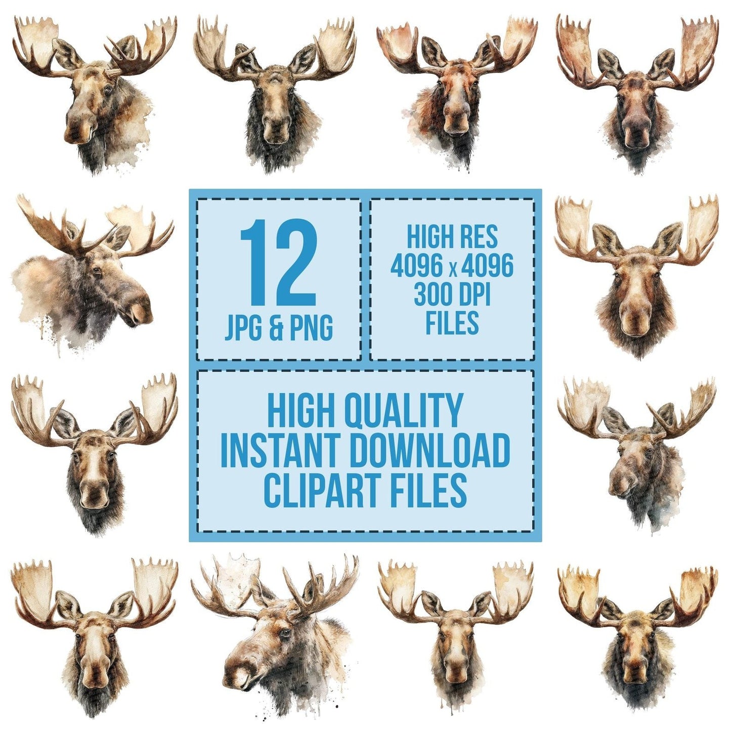 Watercolour Moose Portrait Clipart Set (DDD007222)