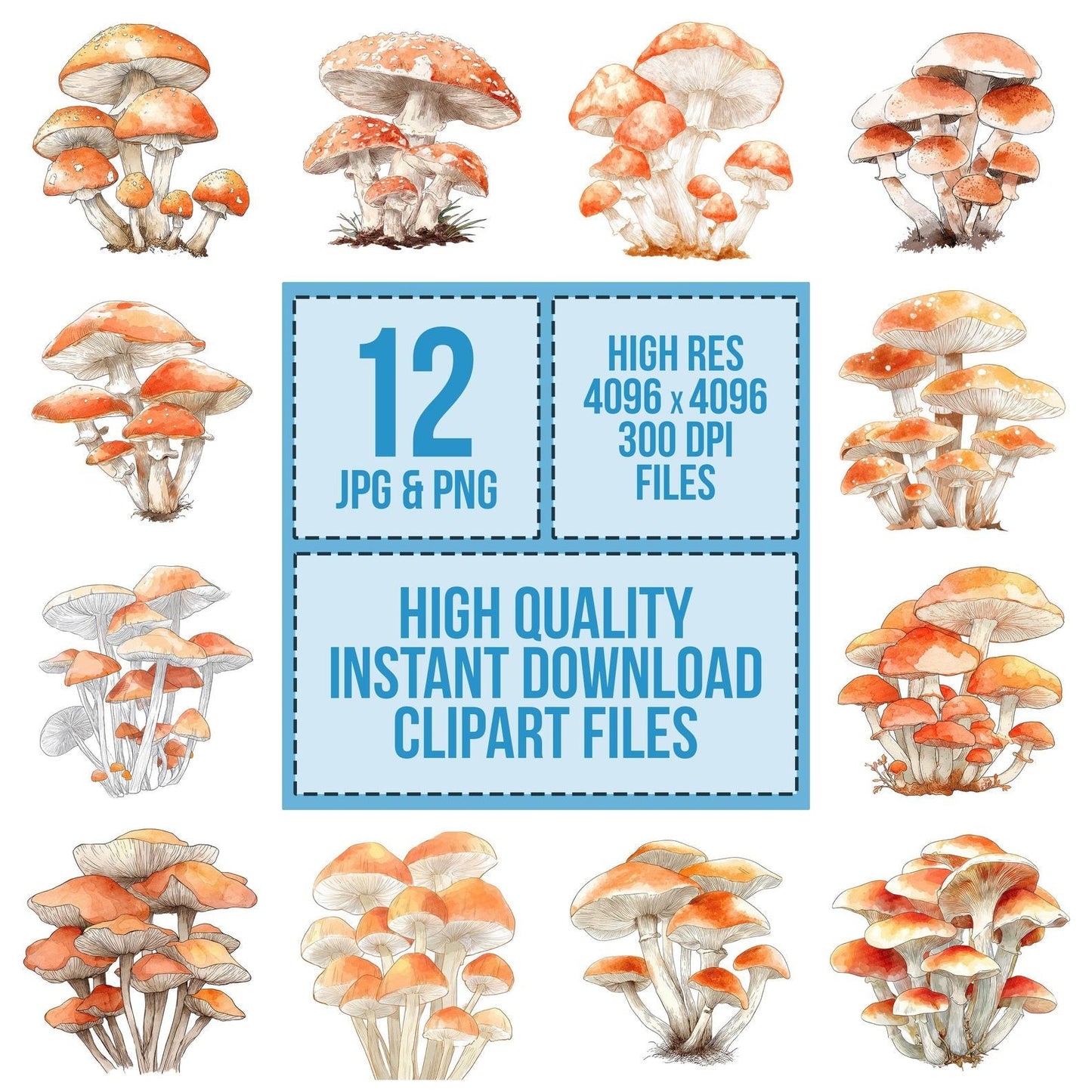 Watercolour Mushroom Cluster Clipart Set (DDD007227)
