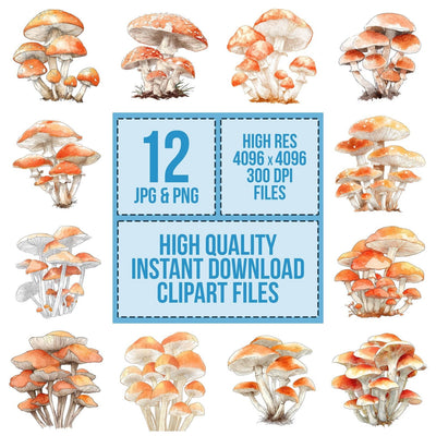 Watercolour Mushroom Cluster clipart set cover showing the designs and file details
