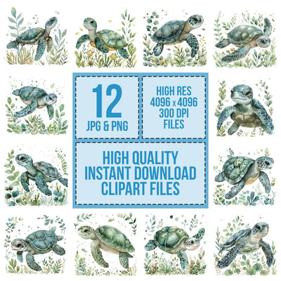 Watercolour Nursery Sea Turtle Clipart Set (DDD007234)