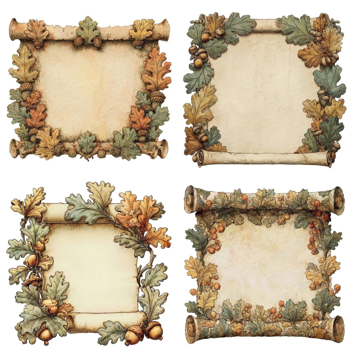 Watercolour Oak Medieval Scroll Clipart Set (DDD007237)