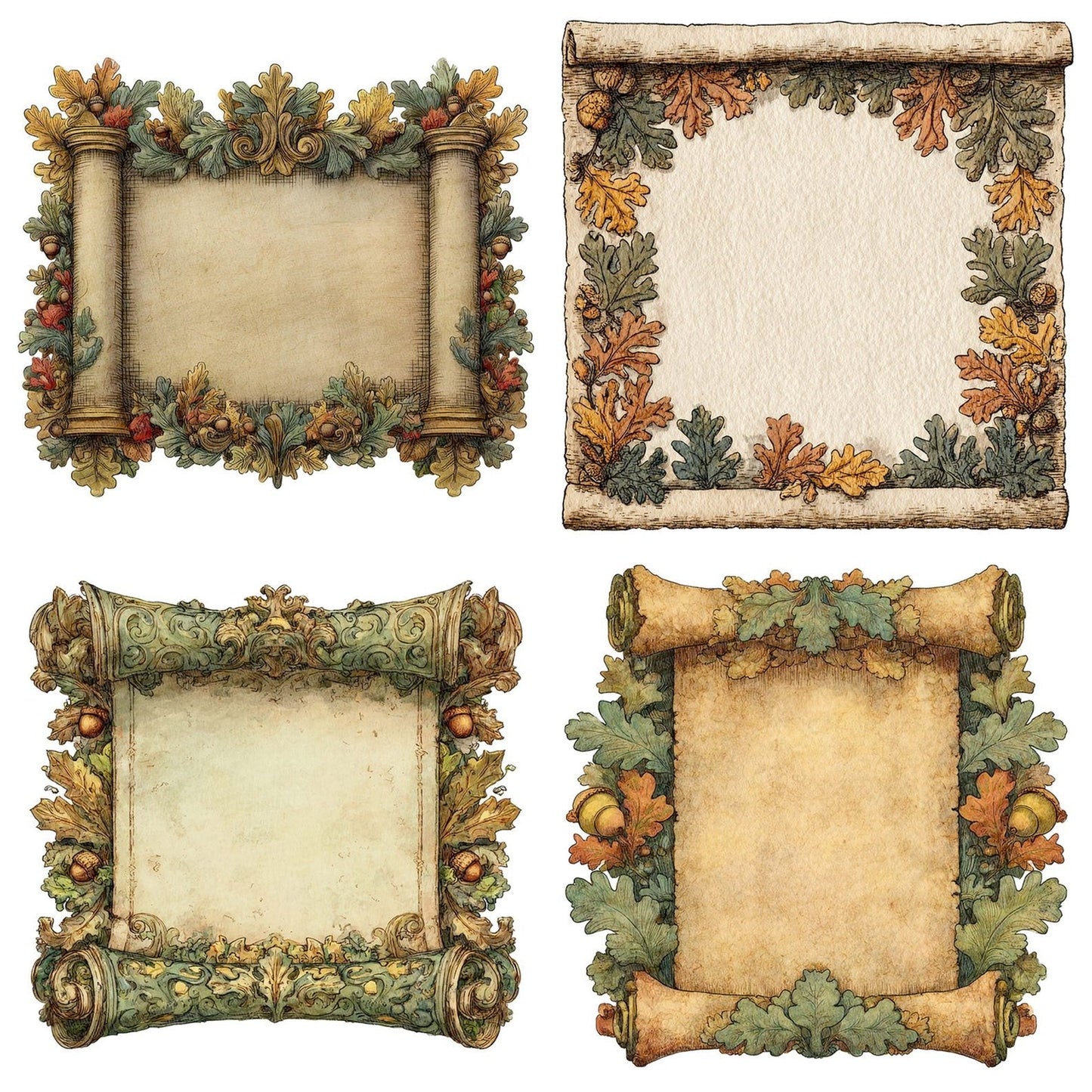 Watercolour Oak Medieval Scroll Clipart Set (DDD007237)
