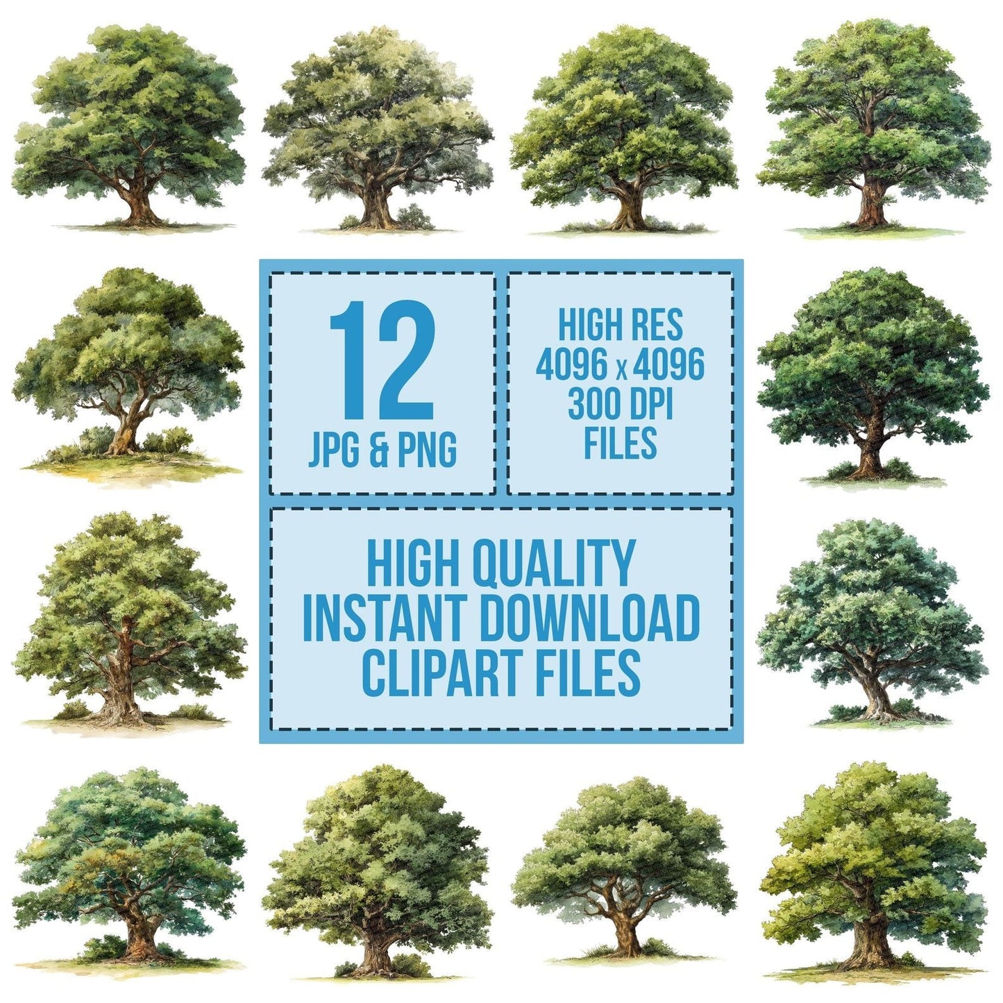 Watercolour Oak Tree Clipart Set (DDD007238)