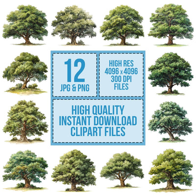 Watercolour Oak Tree Clipart Set (DDD007238)