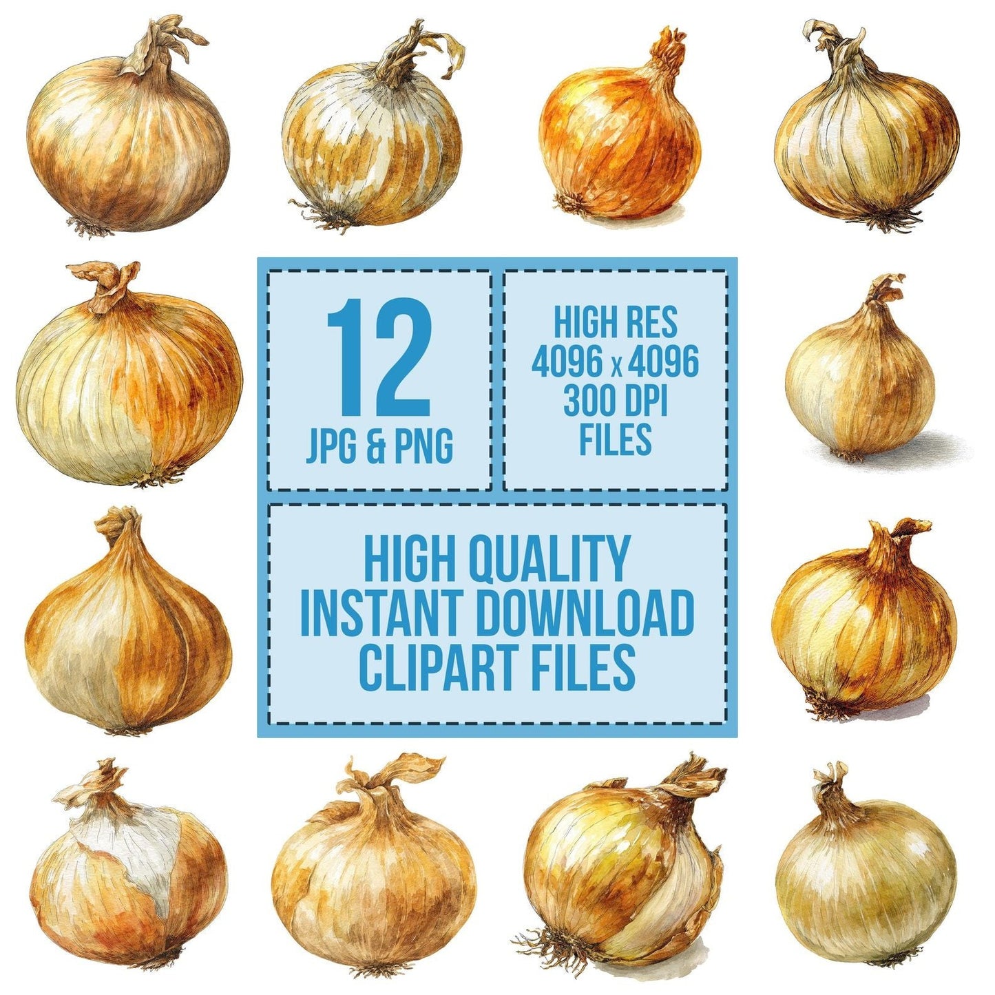 Watercolour Onion Clipart Set (DDD007240)