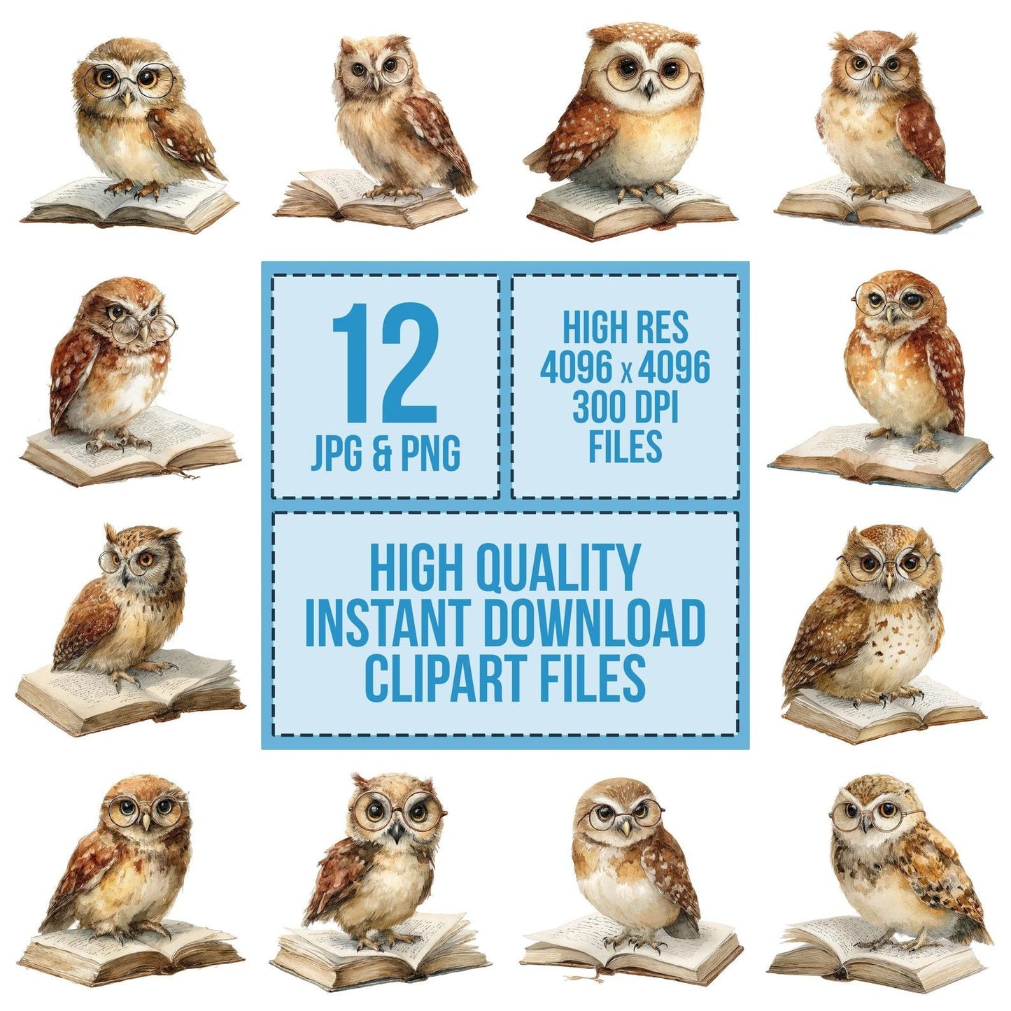 Watercolour Owl Book Clipart Set (DDD007244)