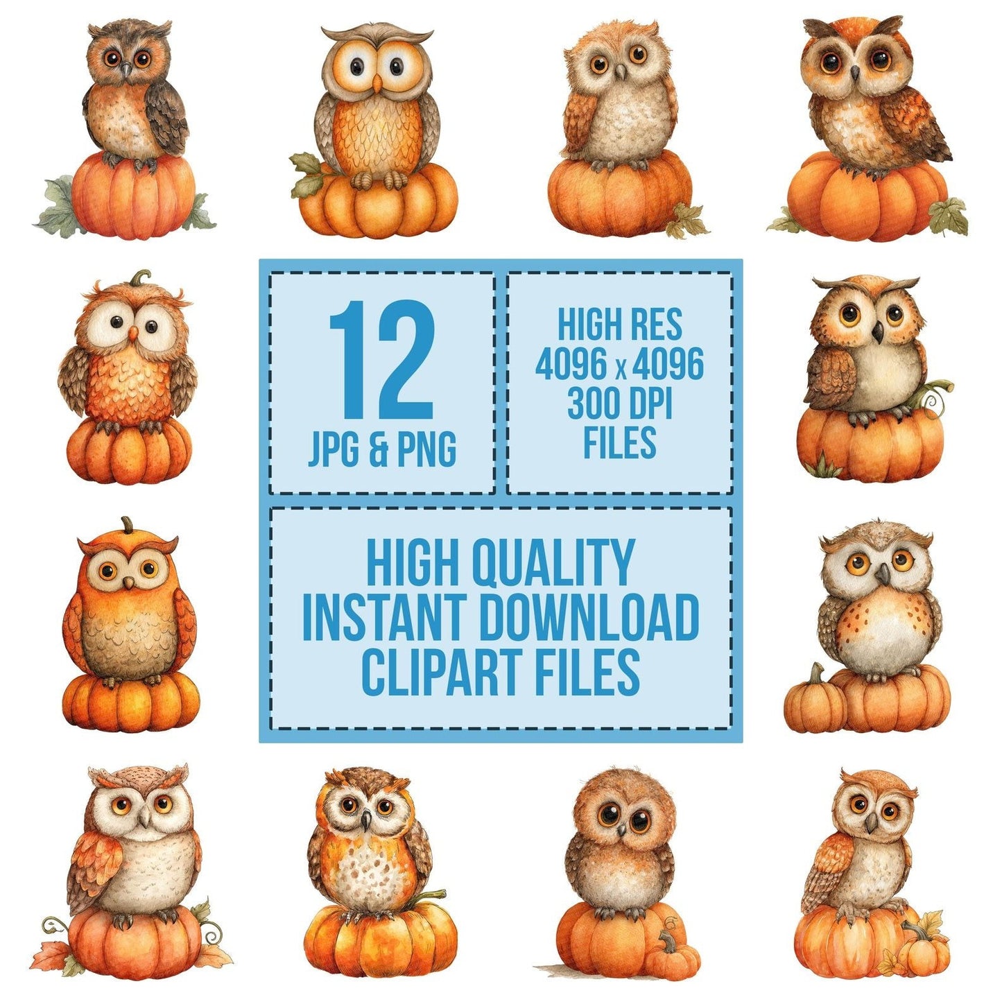 Watercolour Owl Pumpkin Clipart Set (DDD007246)