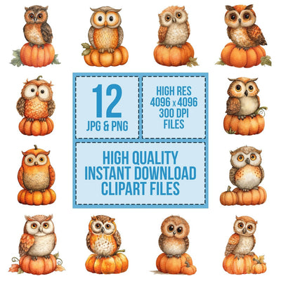 Watercolour Owl Pumpkin Clipart Set (DDD007246)