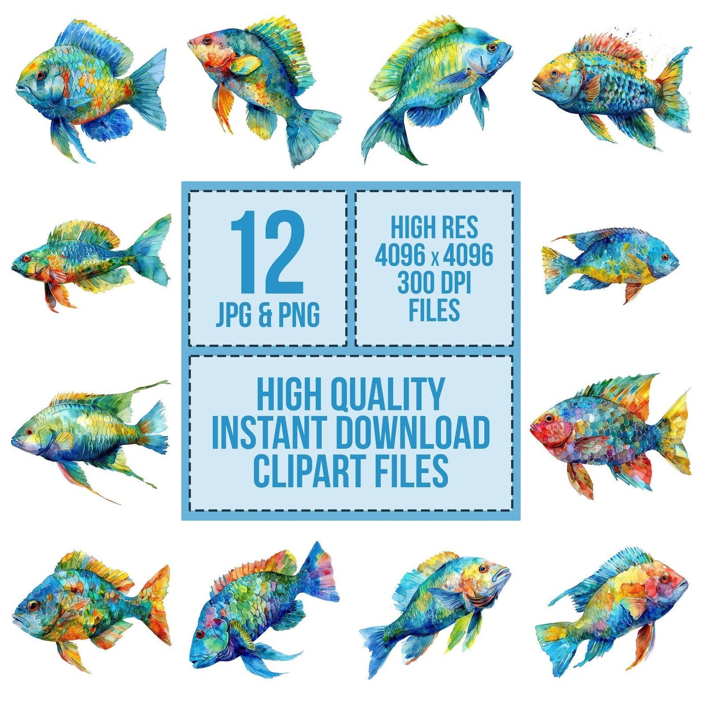 Watercolour Parrotfish Clipart Set (DDD007252)