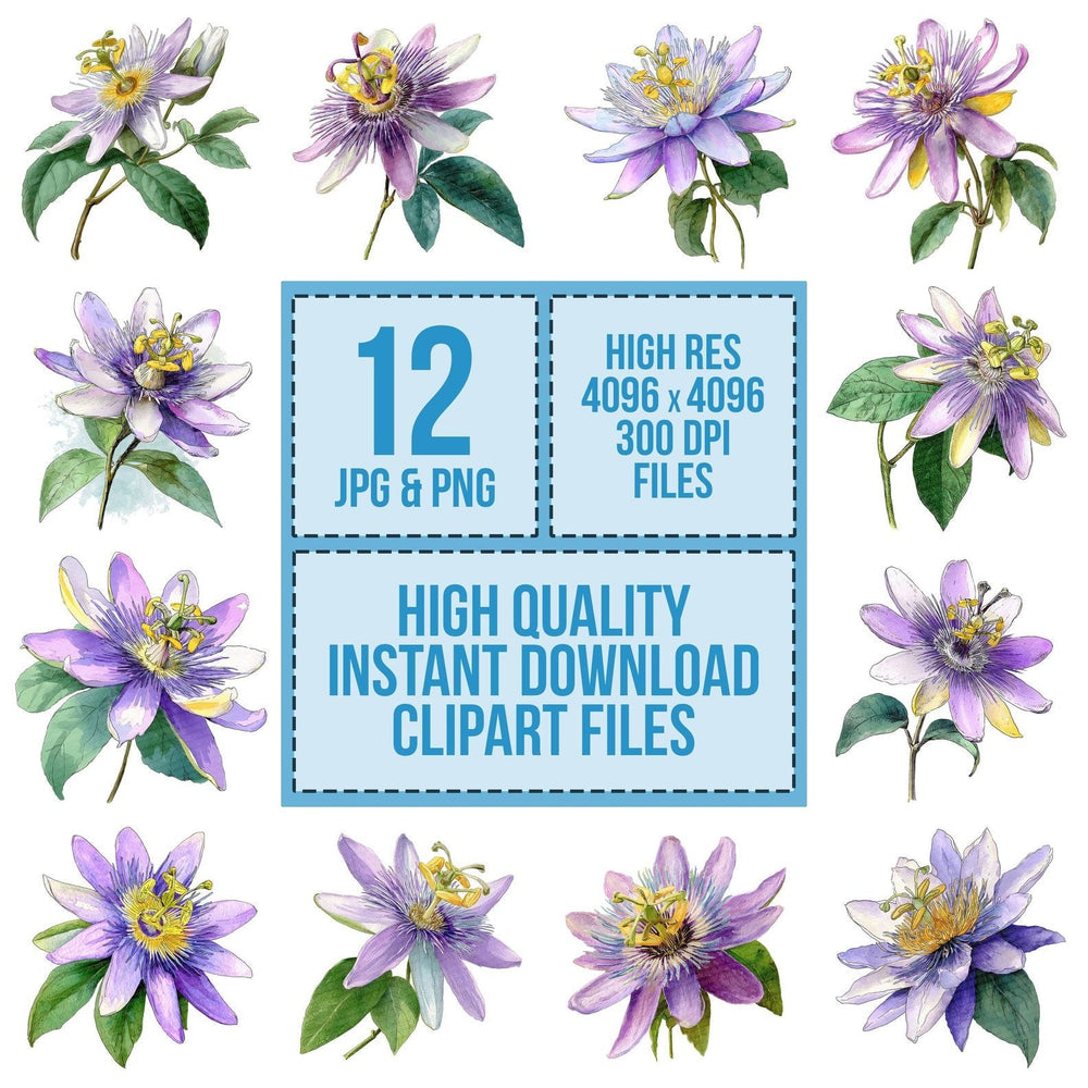 Watercolour Passionflower clipart set cover showing the designs and file details