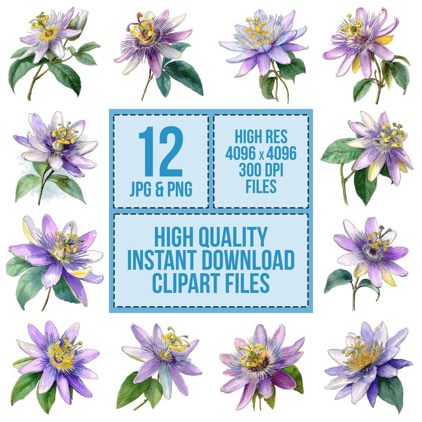 Watercolour Passionflower Clipart Set (DDD007253)