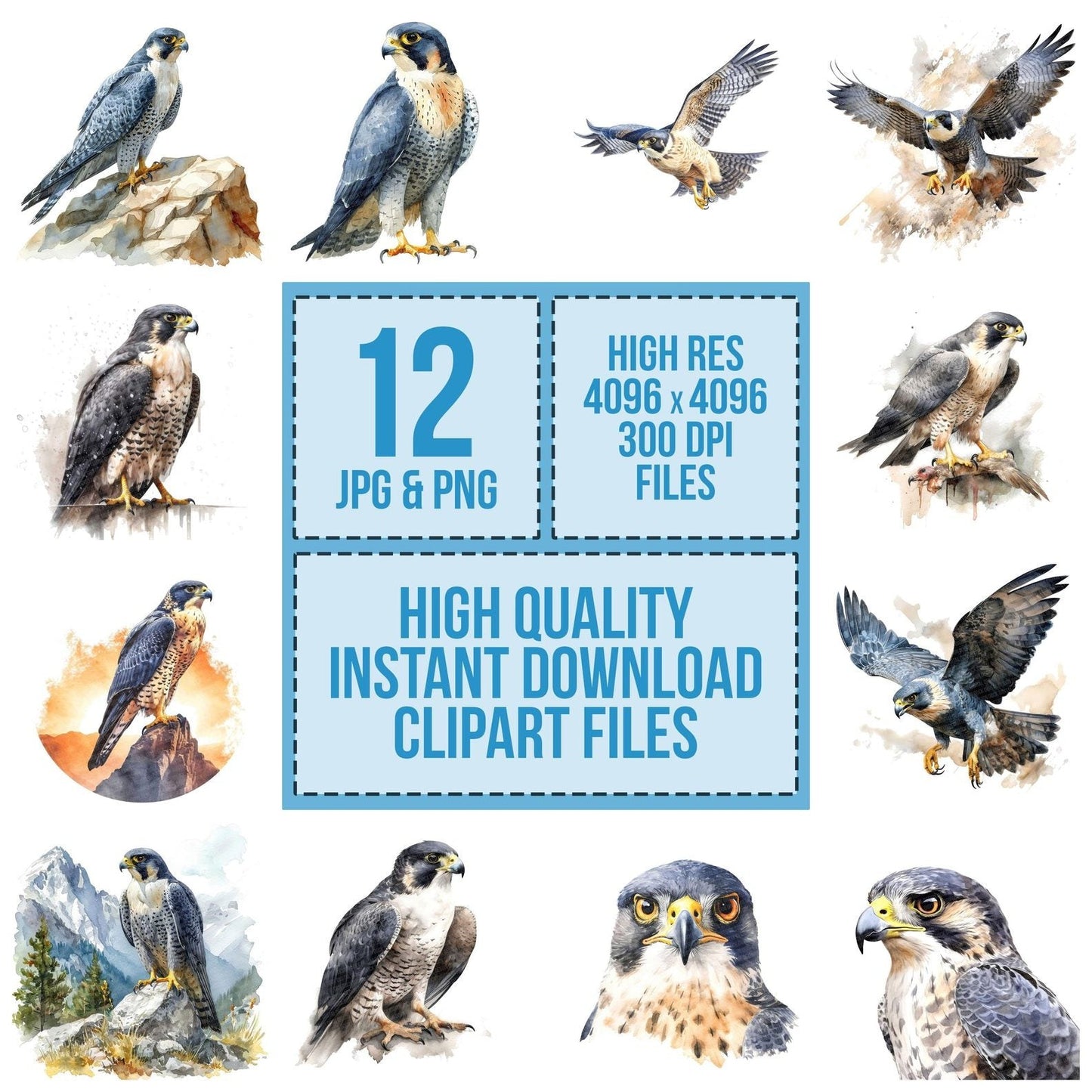 Watercolour Peregrine Falcon Clipart Set (DDD007260)
