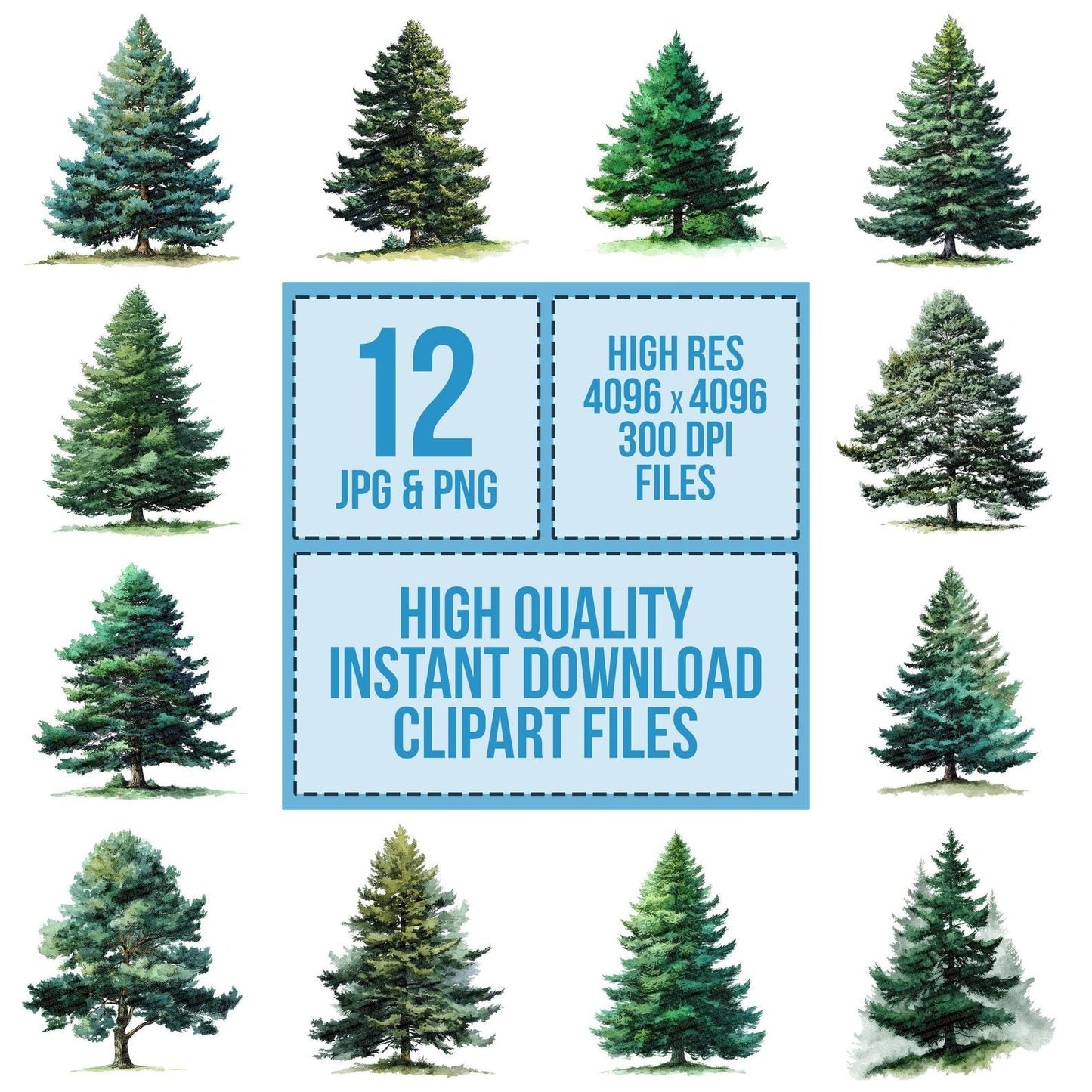 Watercolour Pine Tree Clipart Set (DDD007270)