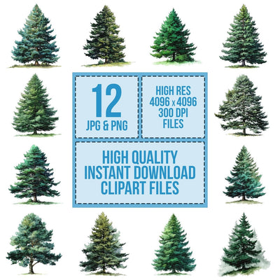 Watercolour Pine Tree Clipart Set (DDD007270)