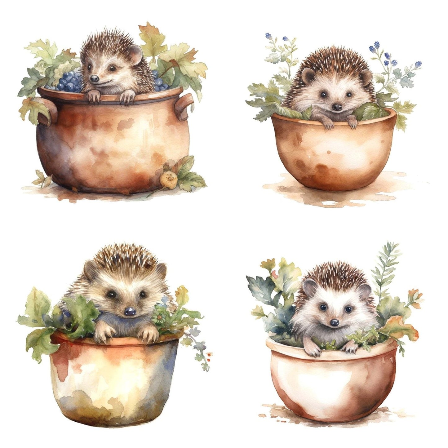Watercolour Plantpot Baby Hedgehog Clipart Set (DDD007276)