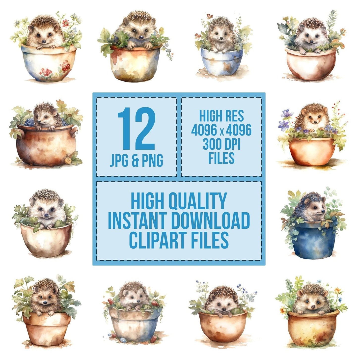 Watercolour Plantpot Baby Hedgehog Clipart Set (DDD007276)