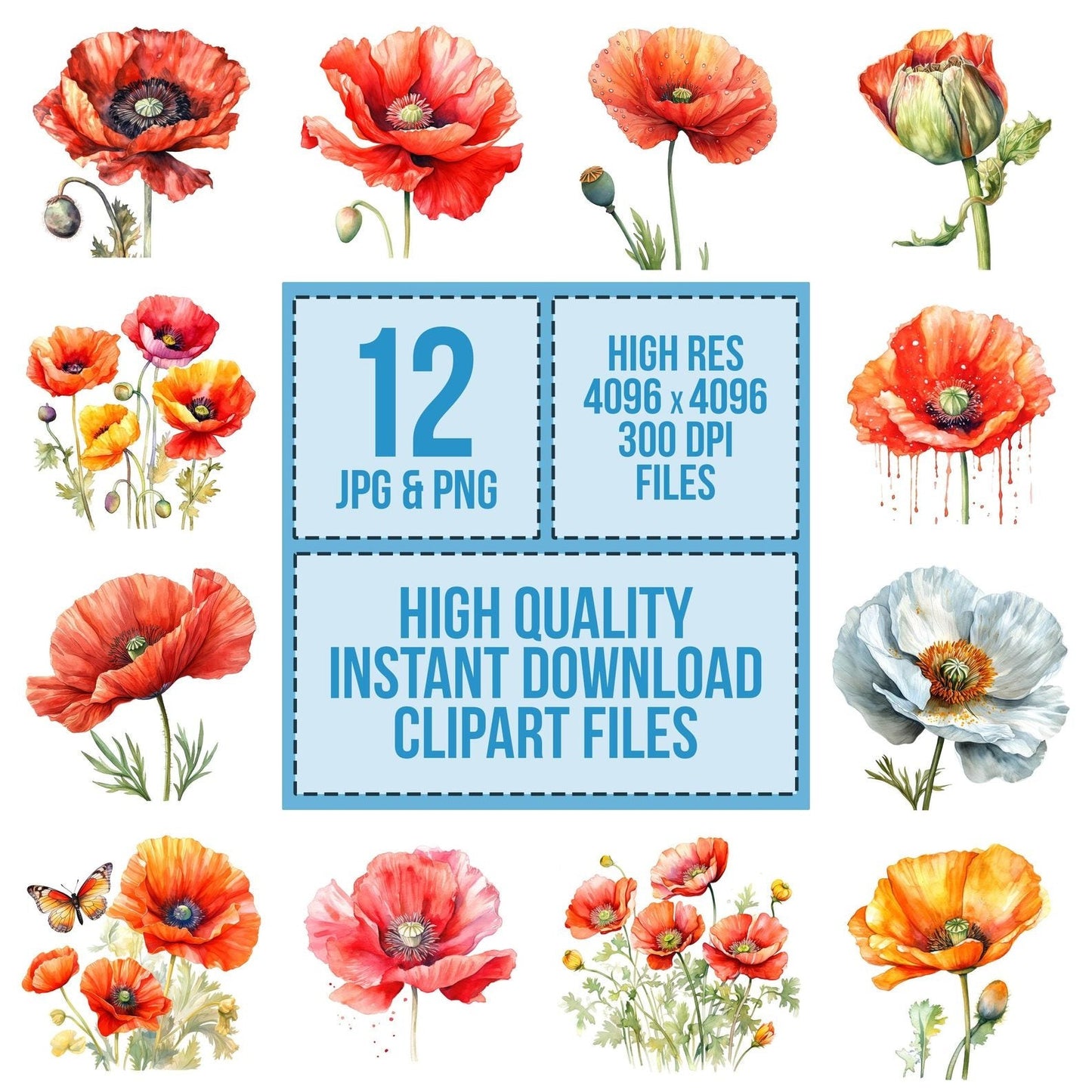 Watercolour Poppy Clipart Set (DDD007277)