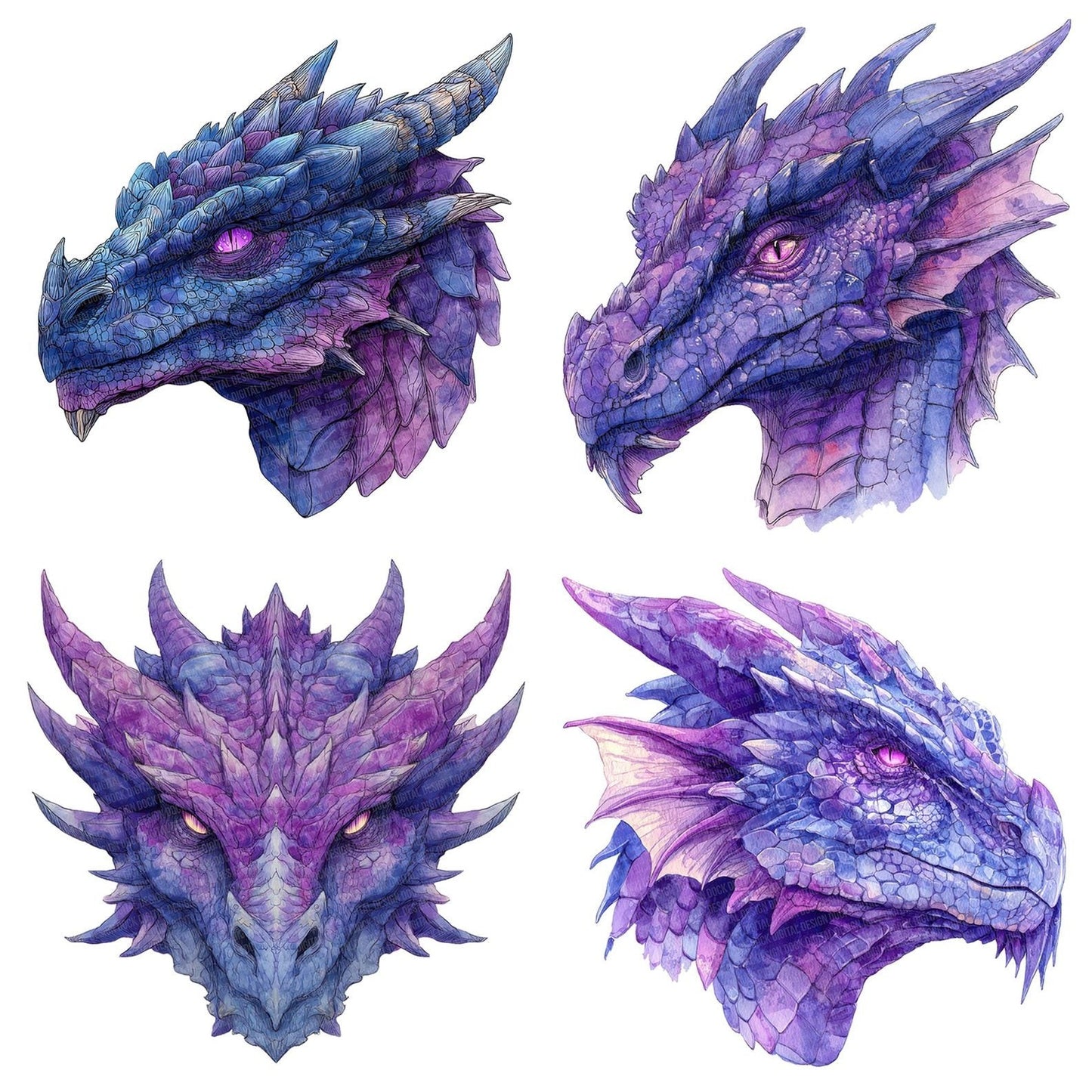 Watercolour Purple Dragon Head Clipart Set (DDD007288)