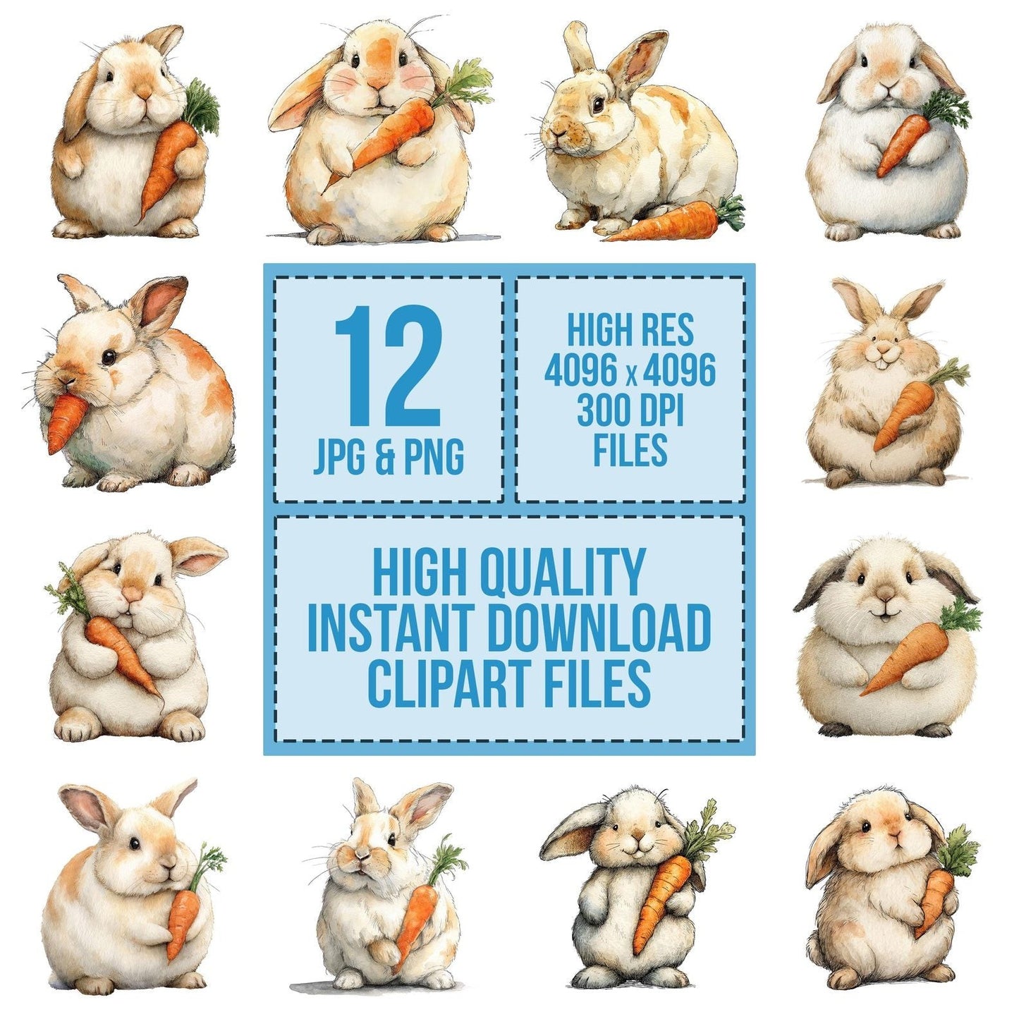 Watercolour Rabbit Carrot Clipart Set (DDD007294)