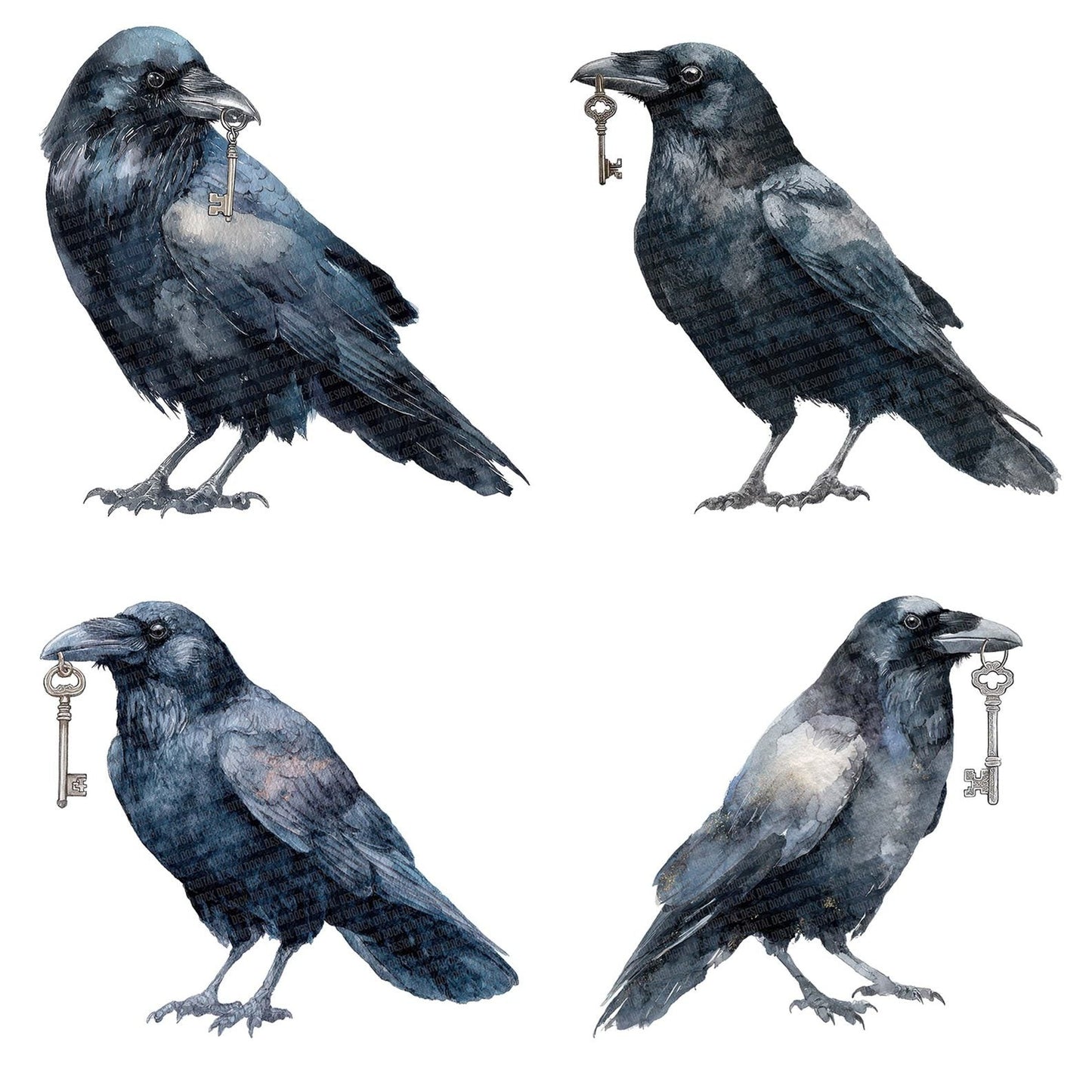 Watercolour Raven Key Clipart Set (DDD007303)