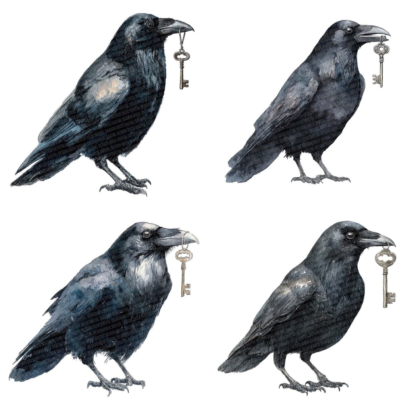 Watercolour Raven Key Clipart Set (DDD007303)