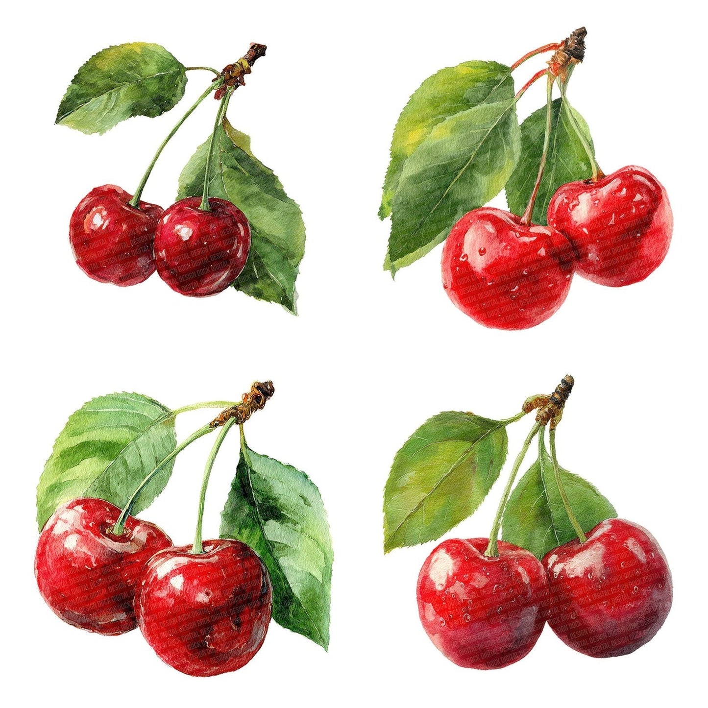 Watercolour Red Cherries Clipart Set (DDD007305)