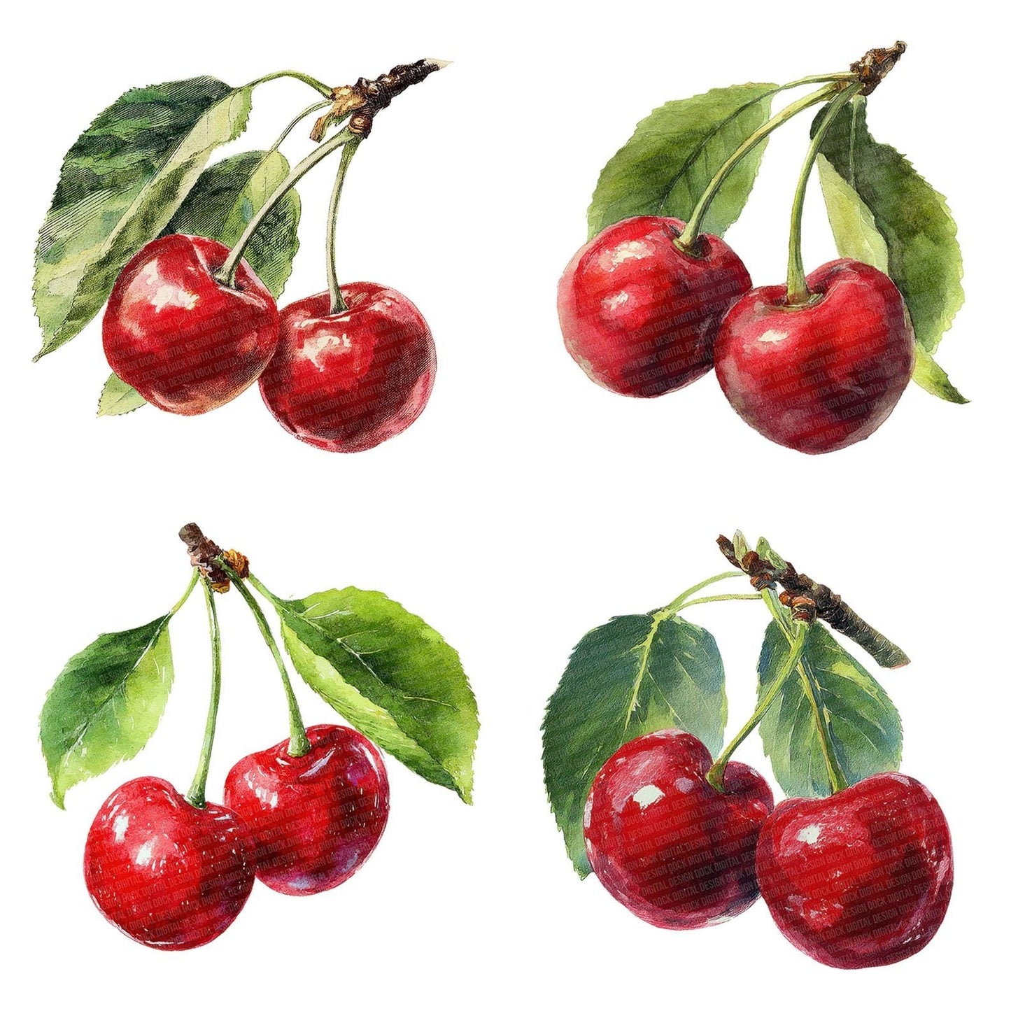 Watercolour Red Cherries Clipart Set (DDD007305)