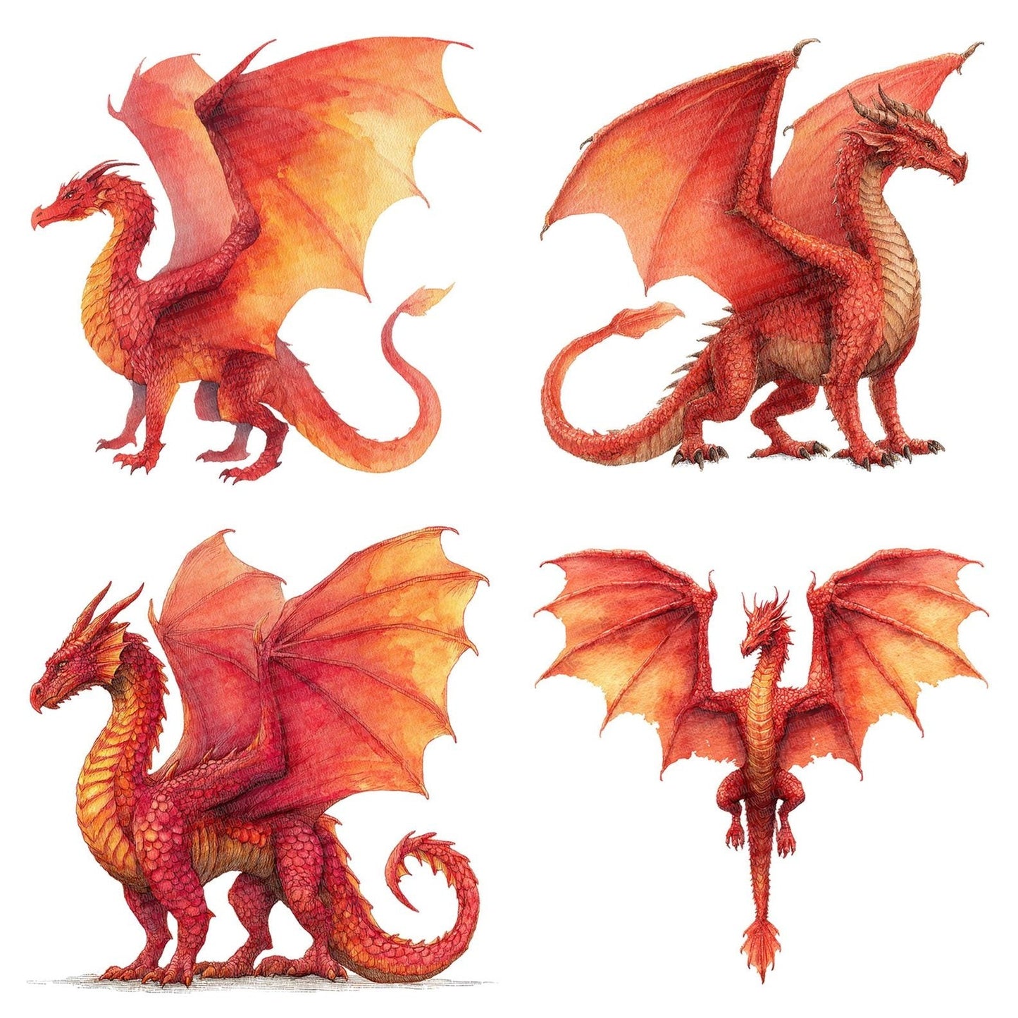 Watercolour Red Dragon Clipart Set (DDD007306)